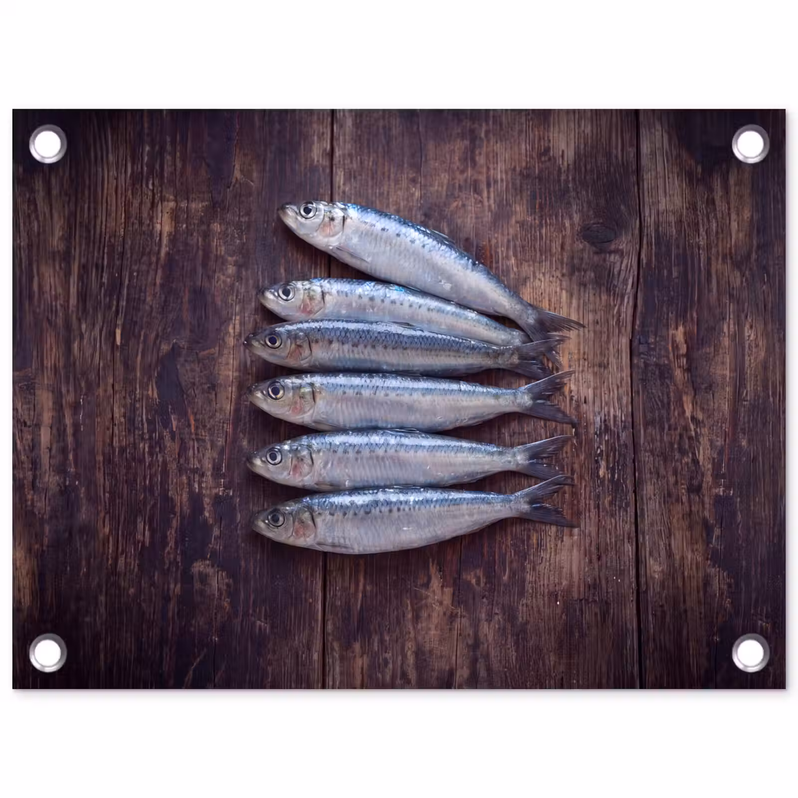 Gartenposter - Fisch – Holz – Essen - Vis - Hout - Eten tuinposter los doek klein