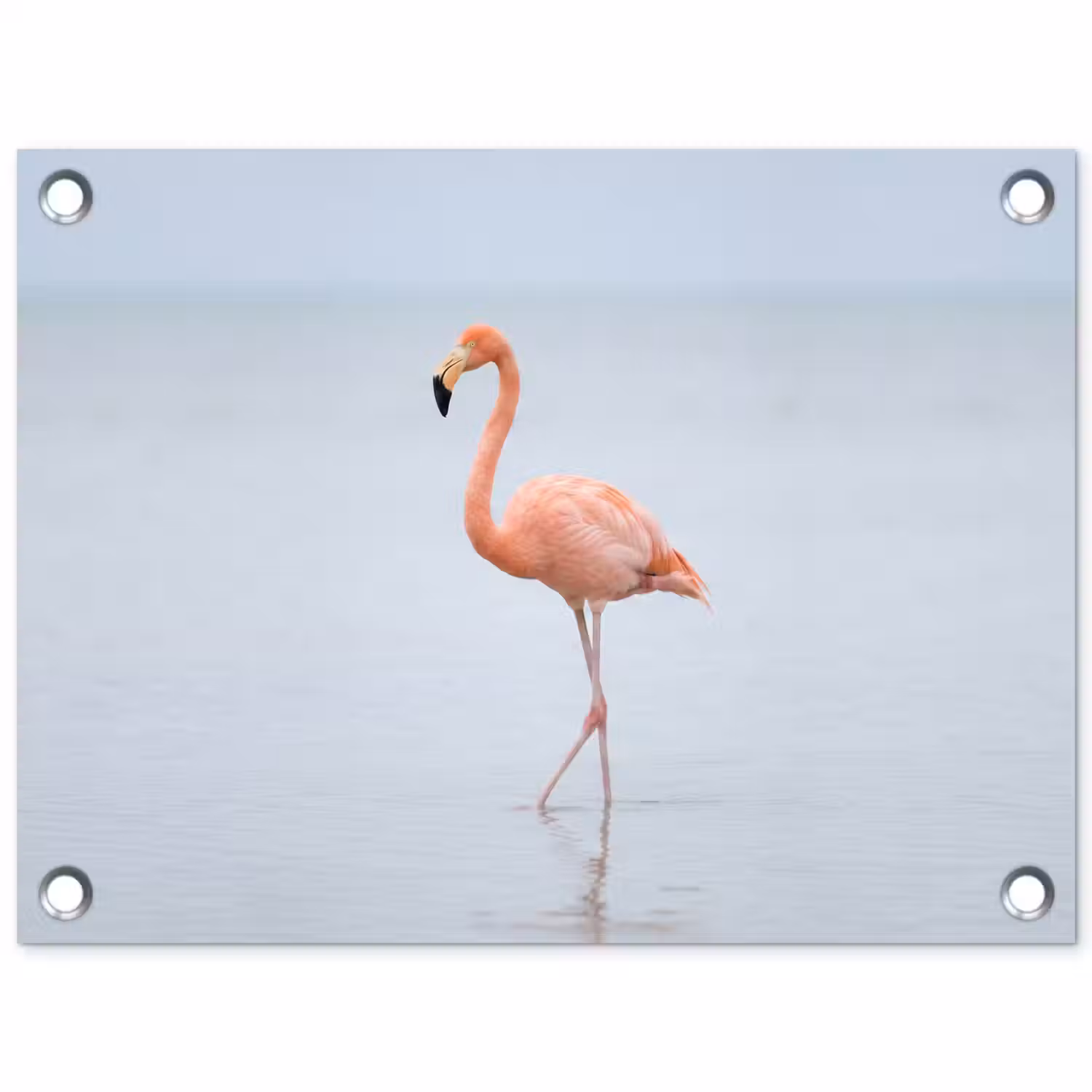 Flamingo - Zee - Roze tuinposter los doek klein -3d
