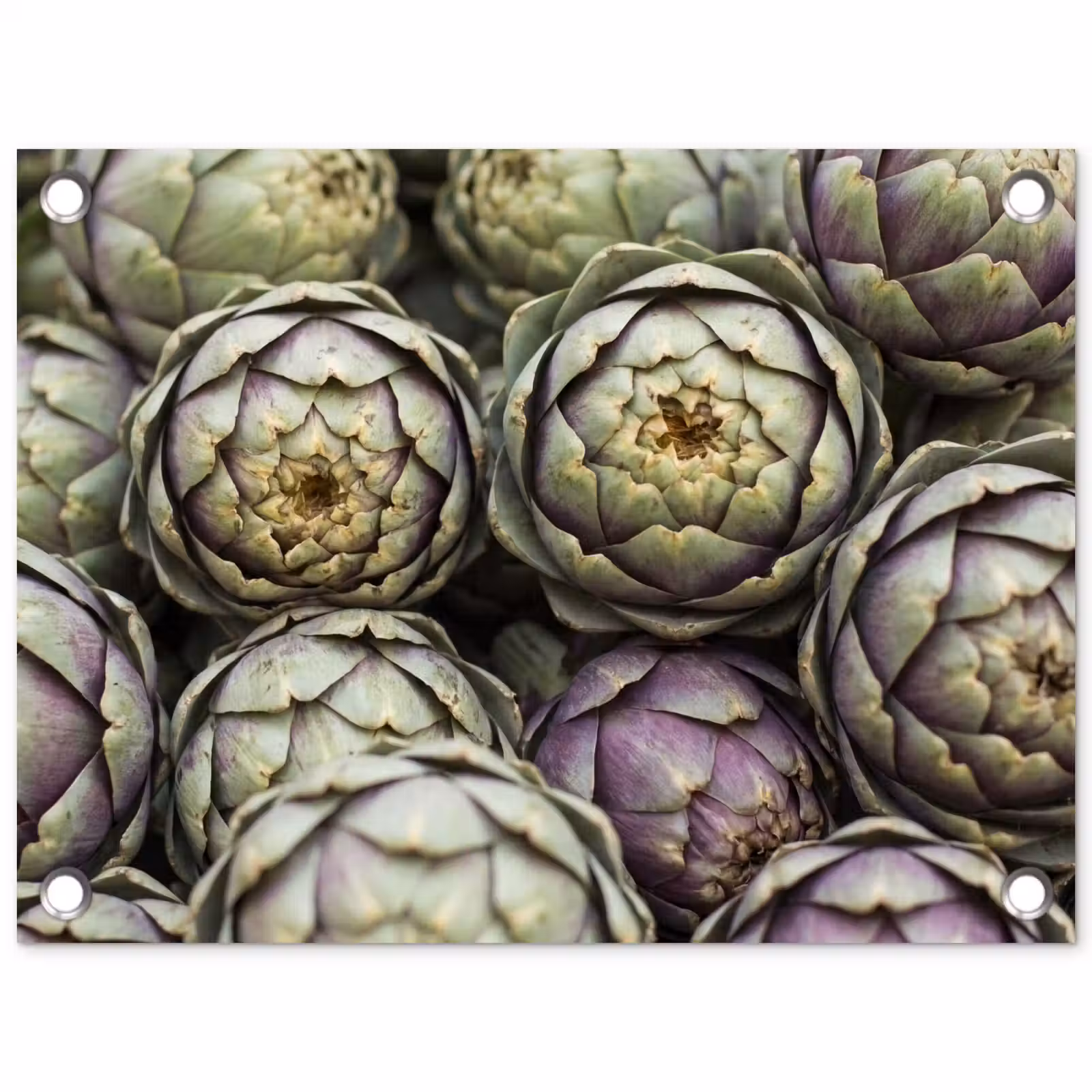 Gartenposter - Gemüse – Frisch – Essen - Groenten - Vers - Eten tuinposter los doek klein