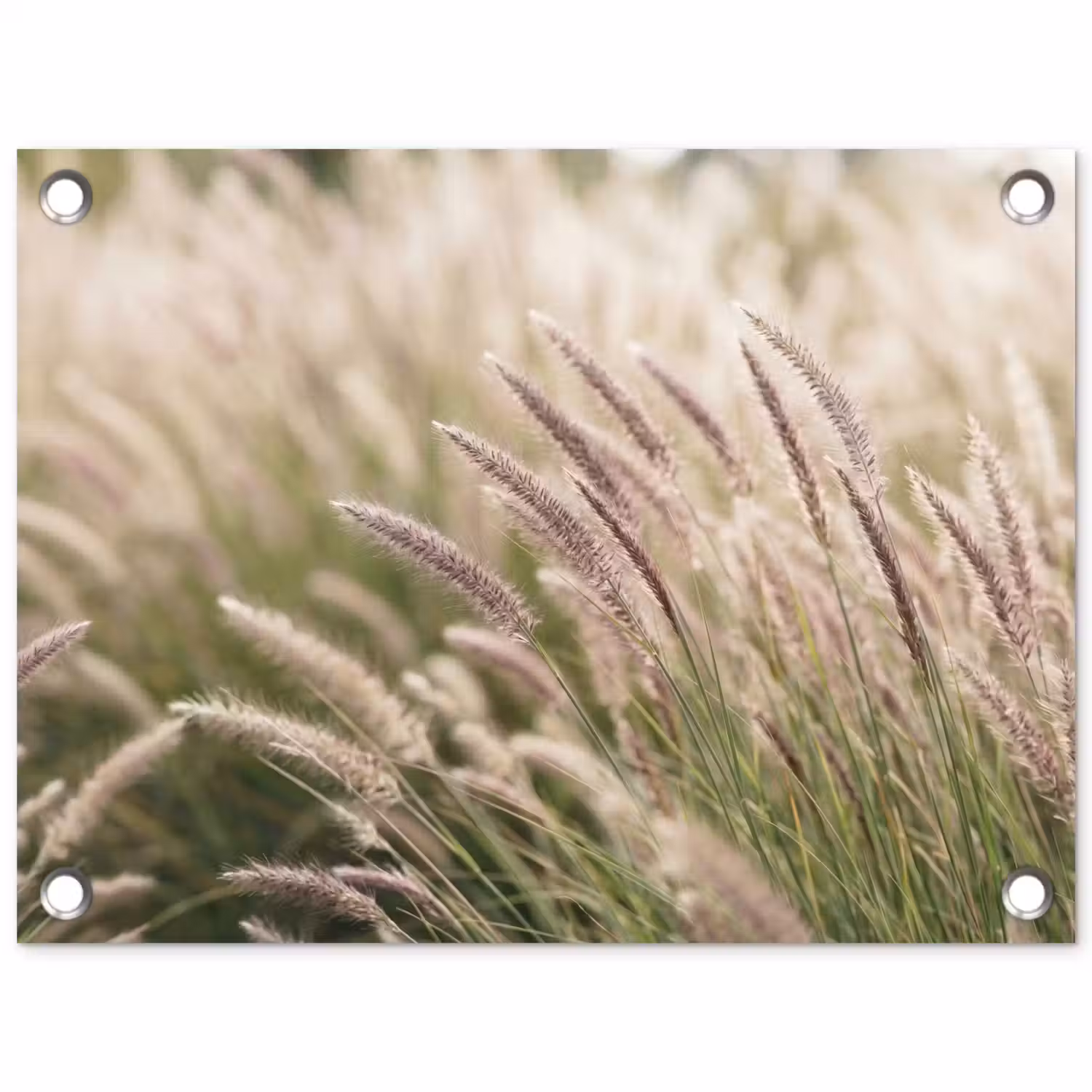 Gras - Close up - Groen tuinposter los doek klein -3d