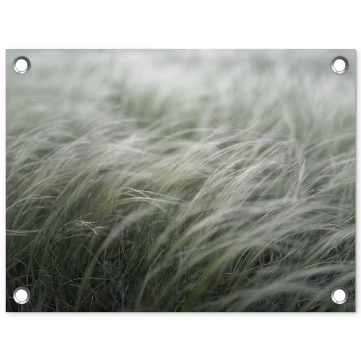 Gras - Wazig - Natuur - Groen - Zacht tuinposter los doek klein -3d
