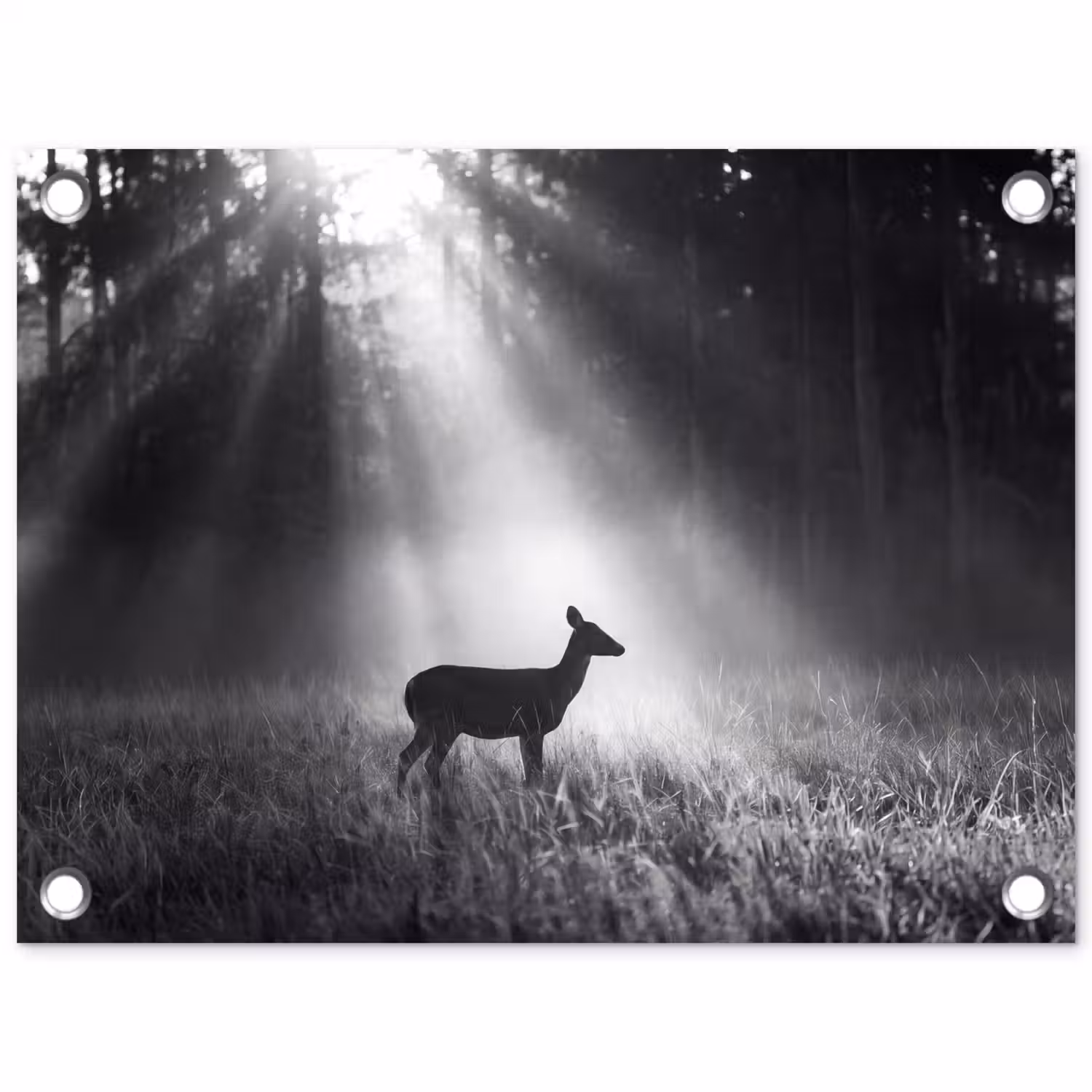 Hert - Bos - Zonnestralen - Zwart-wit - Natuur tuinposter los doek klein -3d