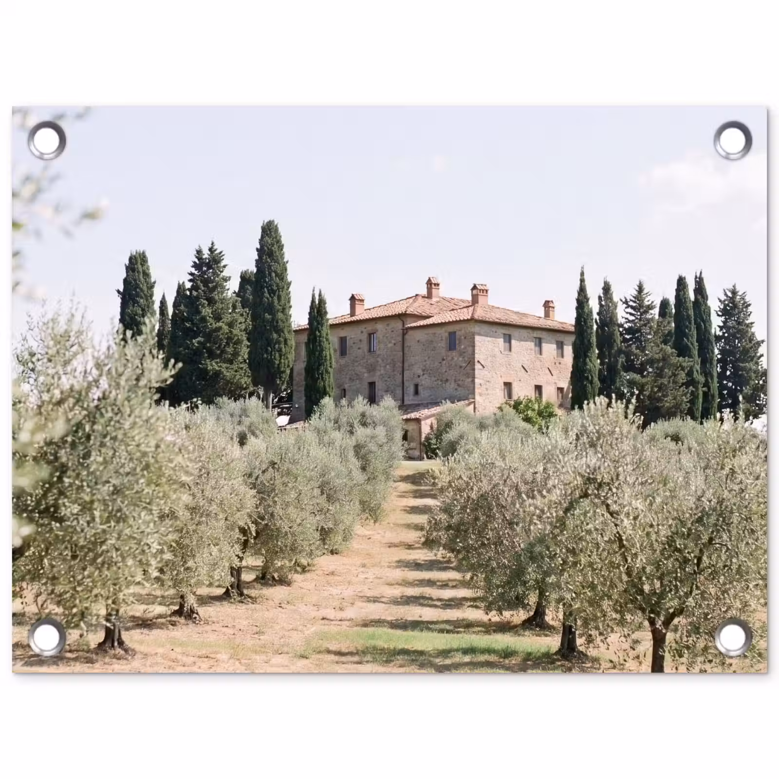 Gartenposter - Landhaus – Olivenbaum – Obstgarten - Landhuis - olijfboom - gaard tuinposter los doek klein