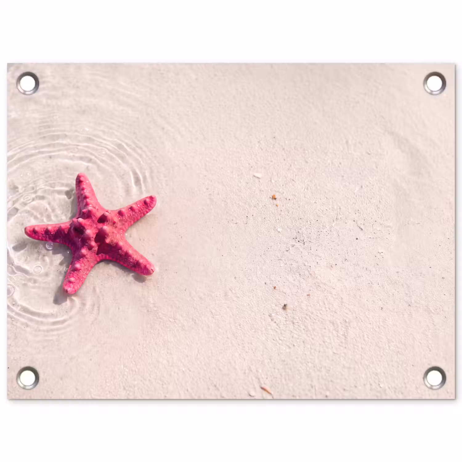 Zeeleven - Zeester - Strand - Roze - Water tuinposter los doek klein -3d