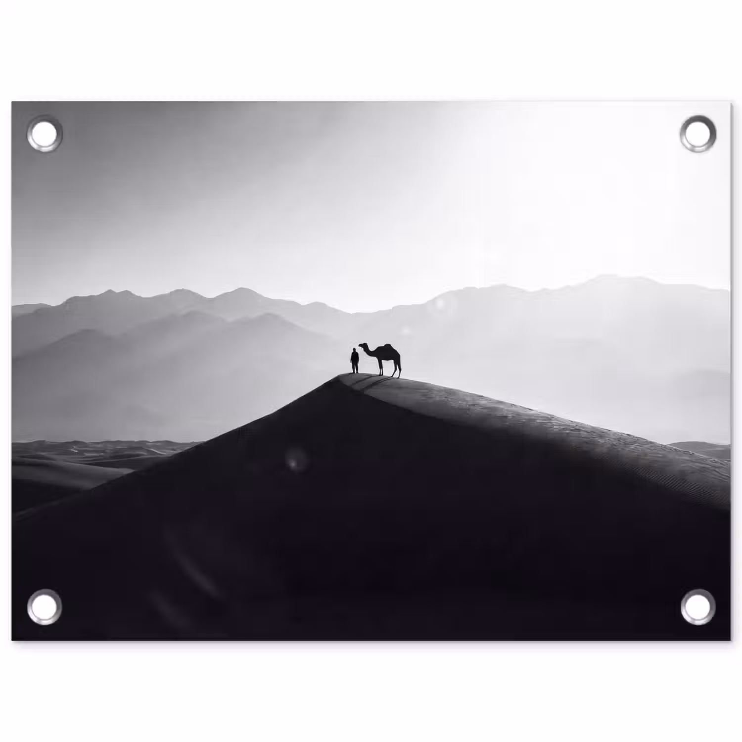 Mens - Kameel - Zandduin - Natuur - Monochroom tuinposter los doek klein -3d