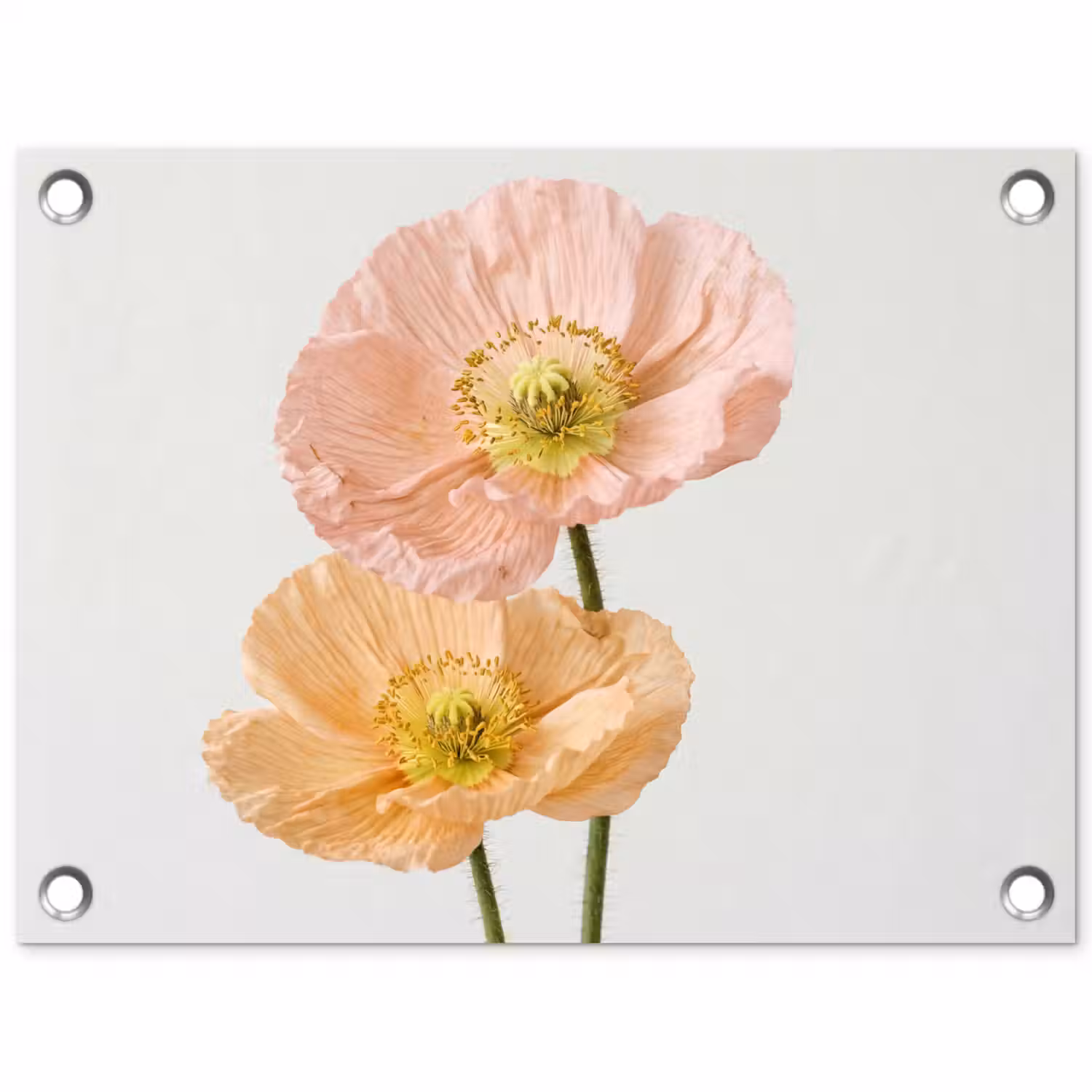 Papavers - Botanisch - Roze tuinposter los doek klein -3d