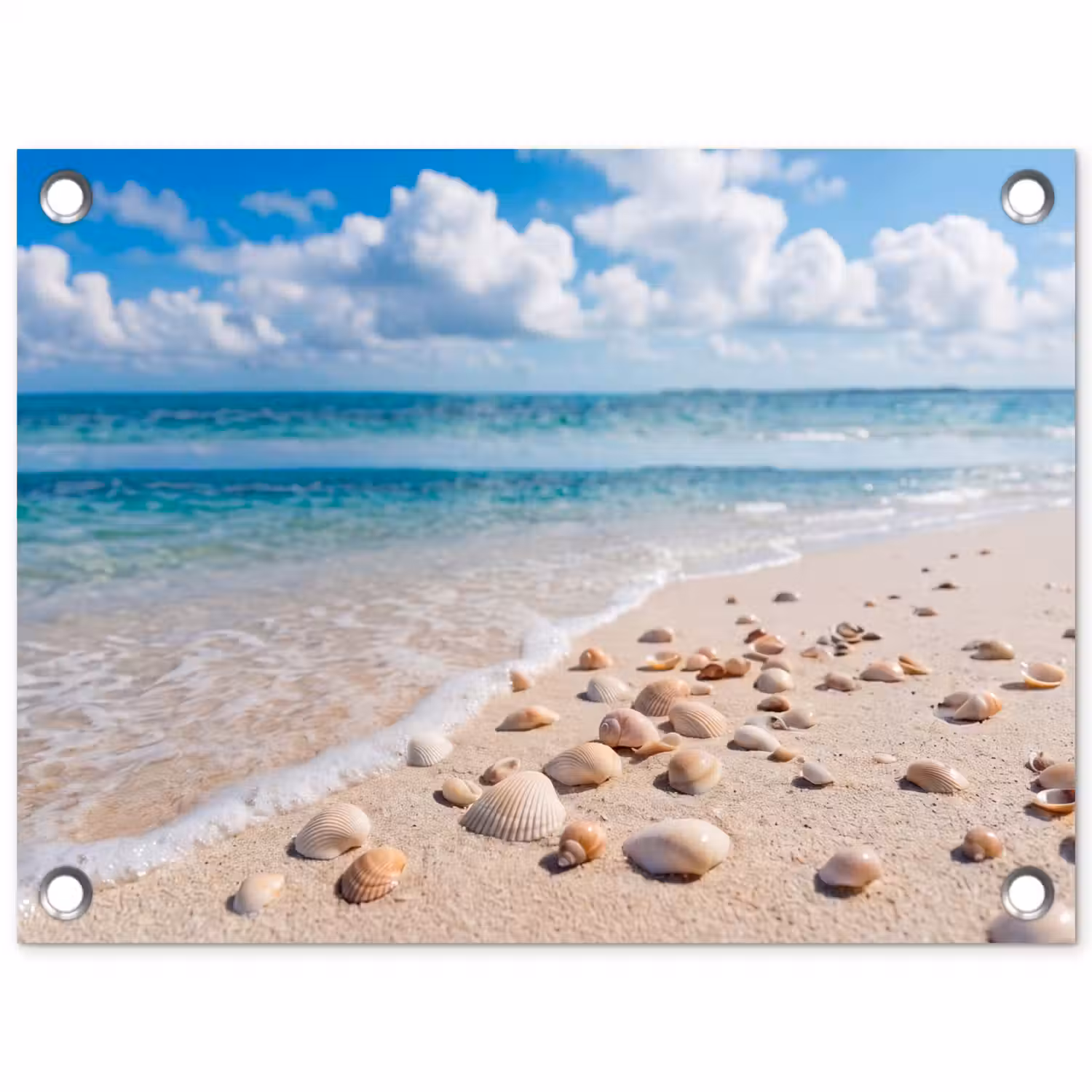 Schelpen - Strand - Natuur - Beige tuinposter los doek klein -3d