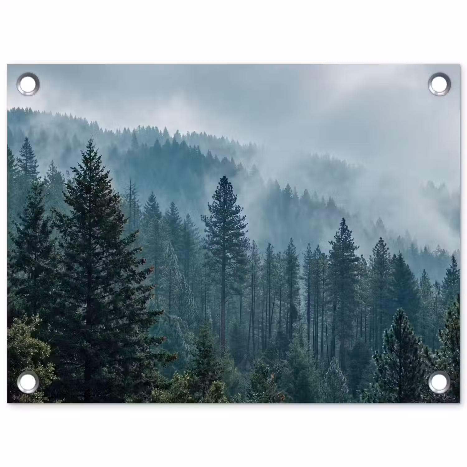 Naaldwoud - Bergen - Mist tuinposter los doek klein -3d
