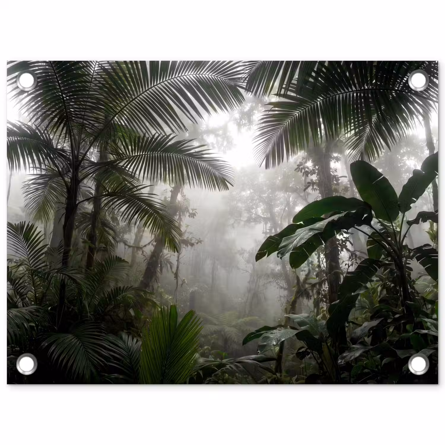 Natuur - Jungle - Mist - Groen - Bladeren tuinposter los doek klein -3d