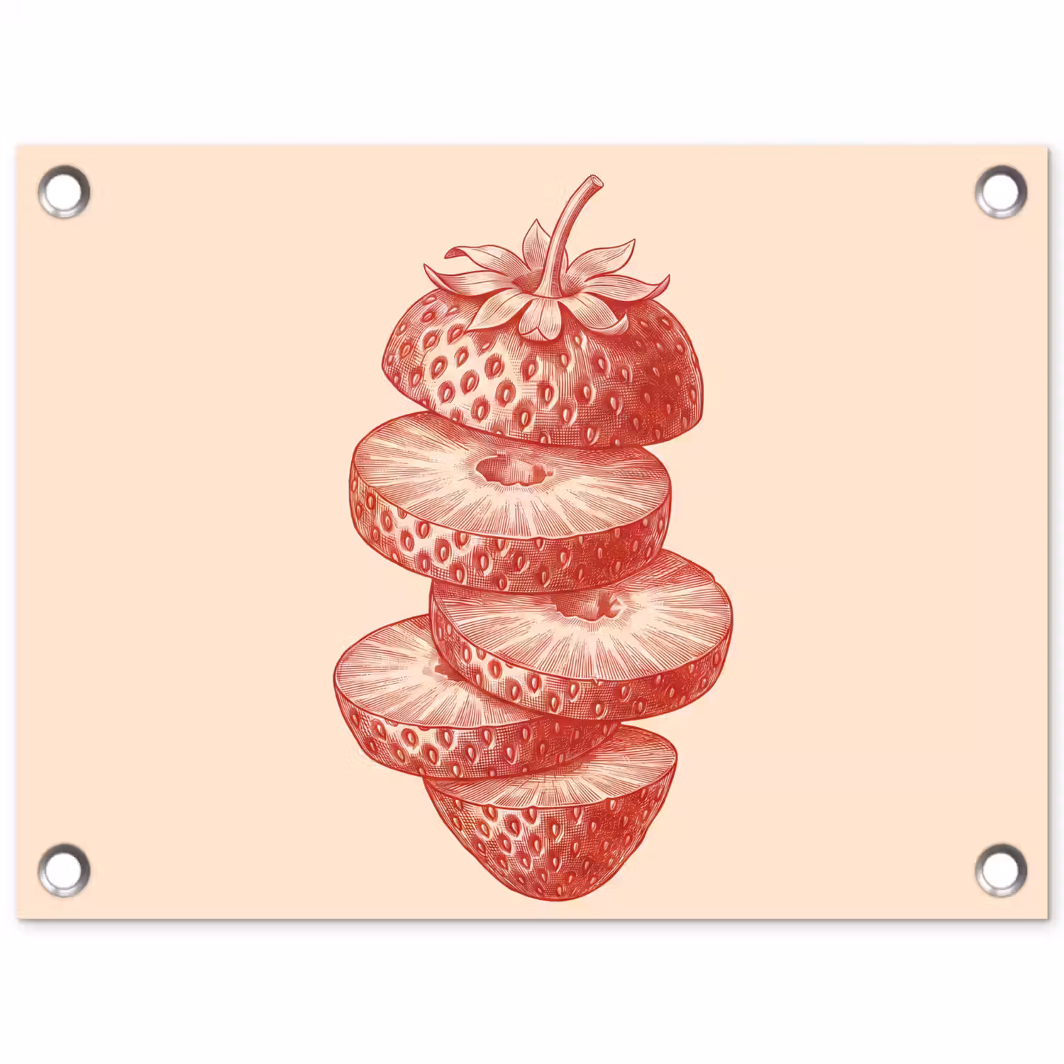 Fruit - Gesneden - Illustratie - Rood - Vintage tuinposter los doek klein -3d