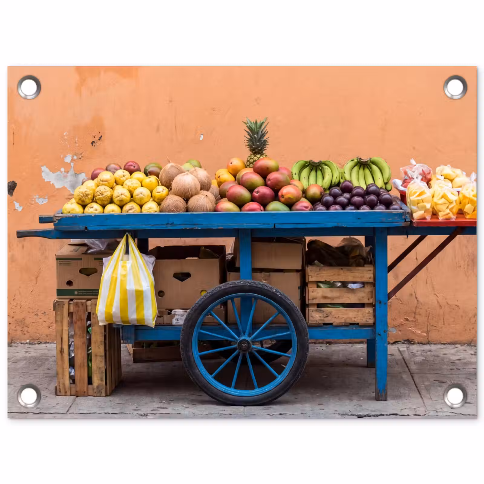 Gartenposter - Obst – Kar – Straße - Fruit - Kar - Straat tuinposter los doek klein