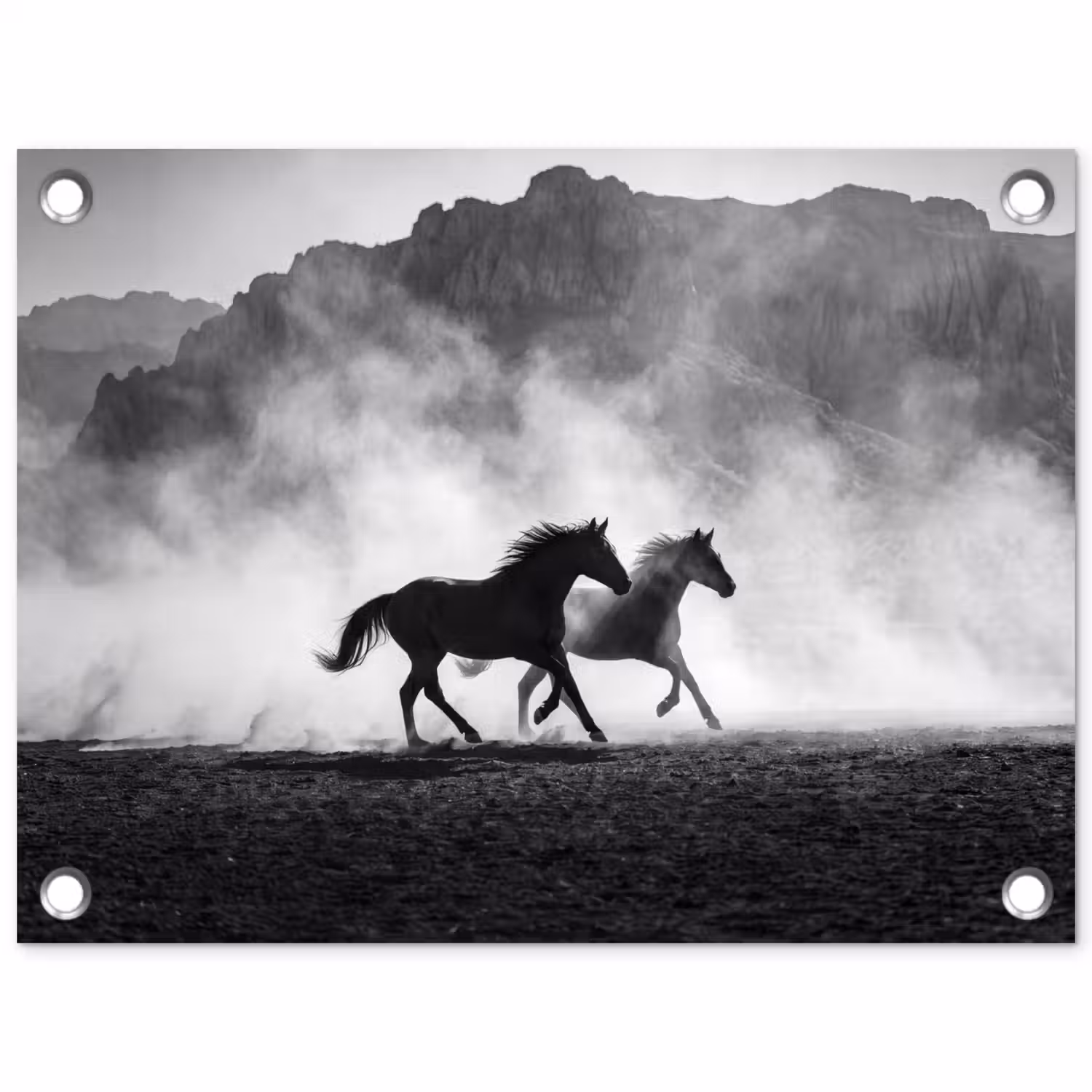 Paard - Ren - Stof - Zwart-wit - Dieren tuinposter los doek klein -3d