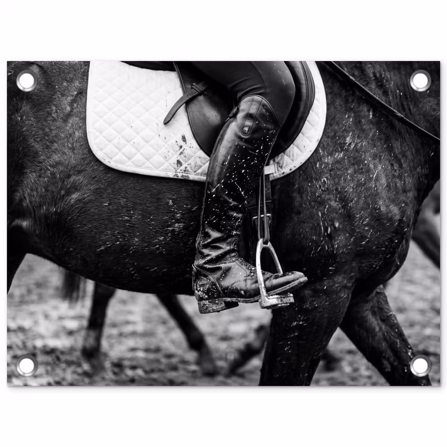 Paard - Sport - Zwart - Wit tuinposter los doek klein -3d