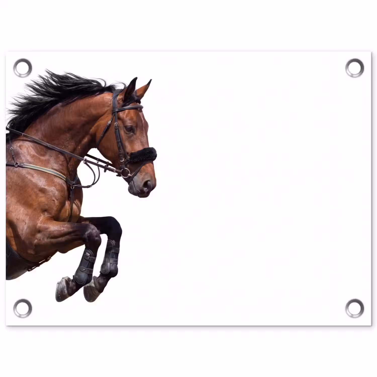 Paard - Springen - Modern tuinposter los doek klein -3d