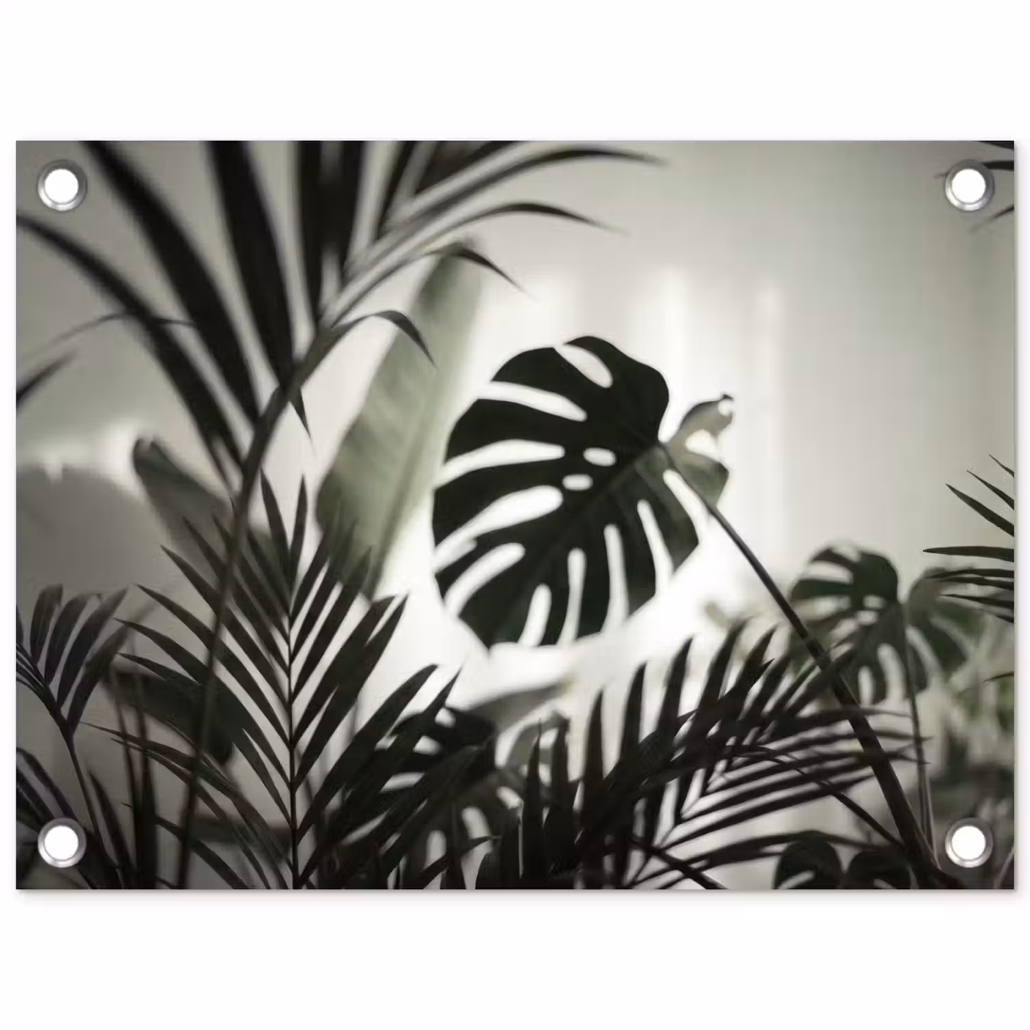 Planten - Bladeren - Natuur - Minimalistisch - Groen tuinposter los doek klein -3d