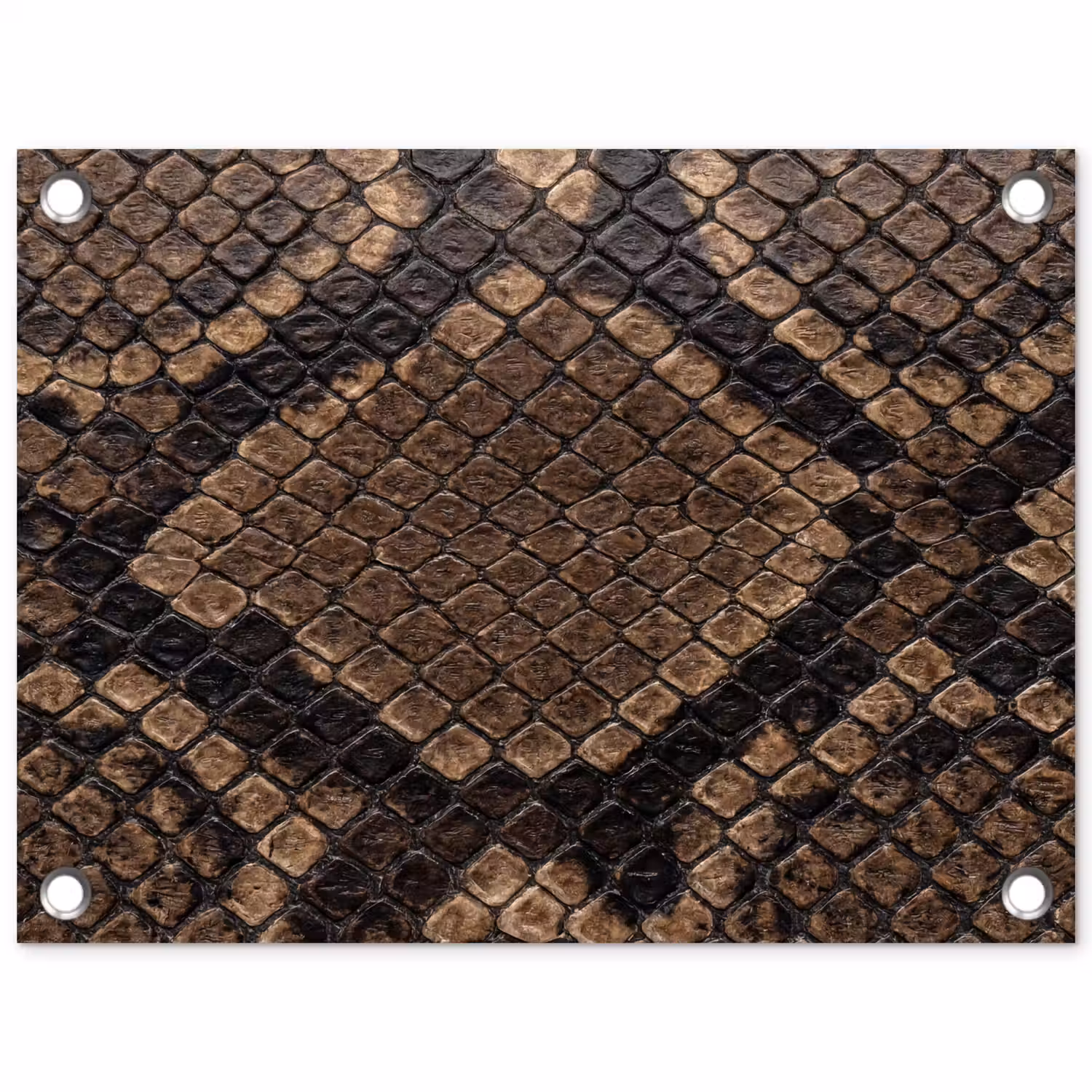 Python - Schubben - Brons tuinposter los doek klein -3d