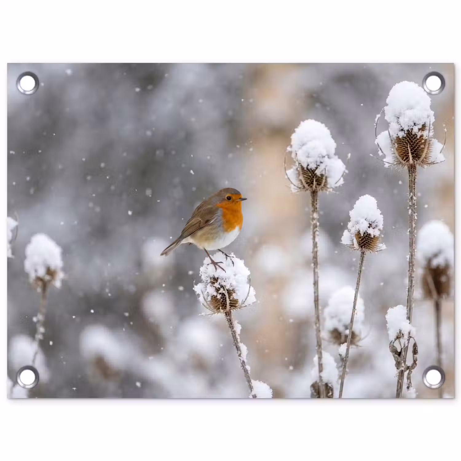 Roodborstje - Gedroogde bloem - Sneeuw - Winter - Vertederend tuinposter los doek klein -3d