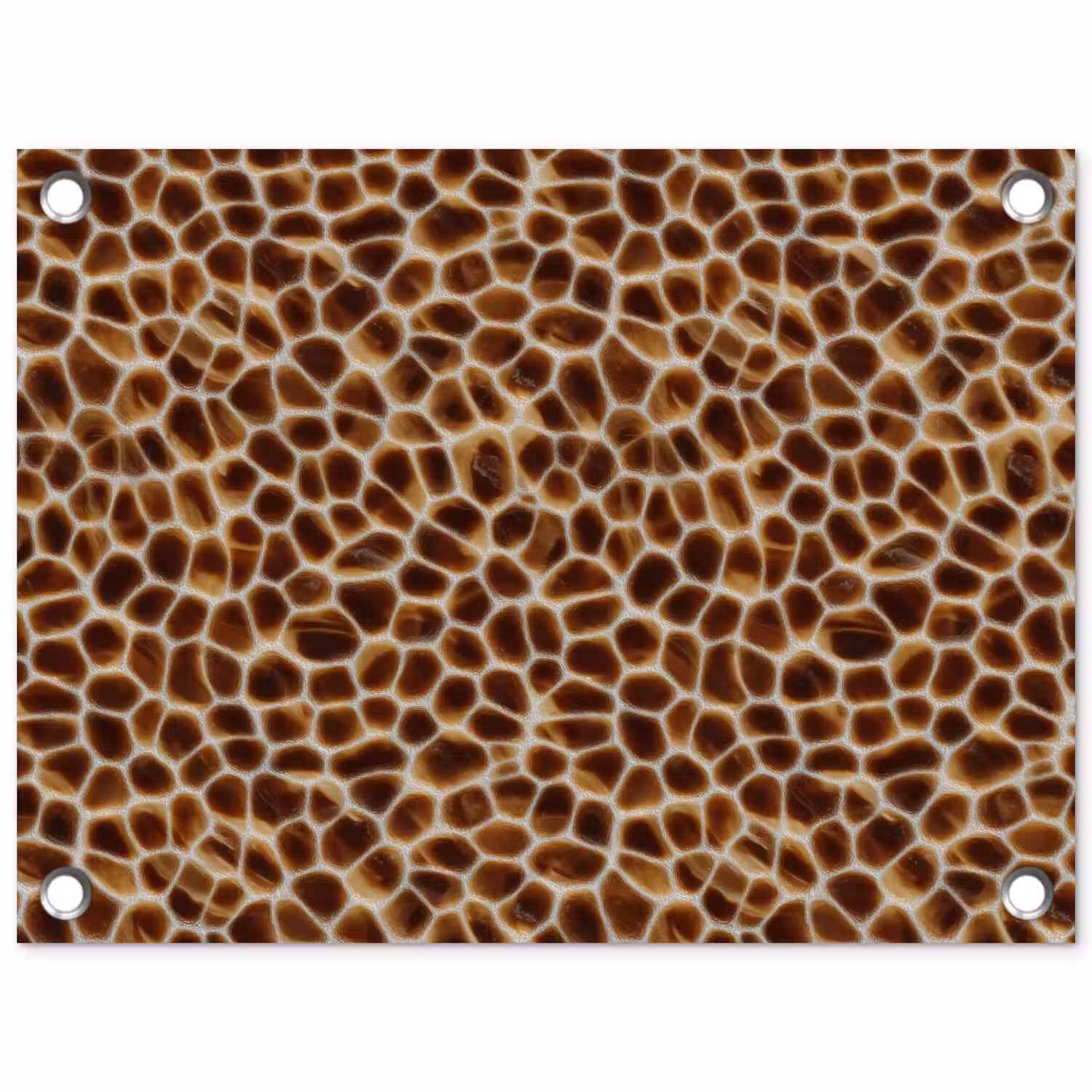 Schildpad - Bruin - Patroon tuinposter los doek klein 239 -3d