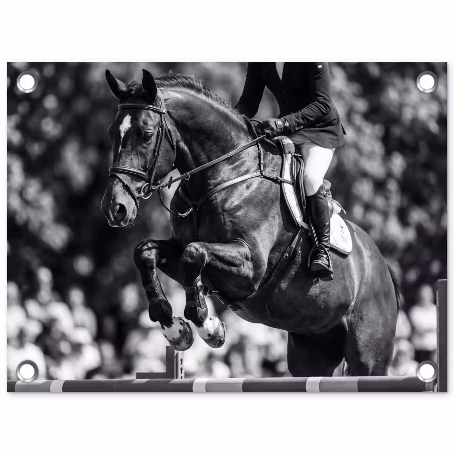 Springen - Paard - Zwart - Wit tuinposter los doek klein -3d