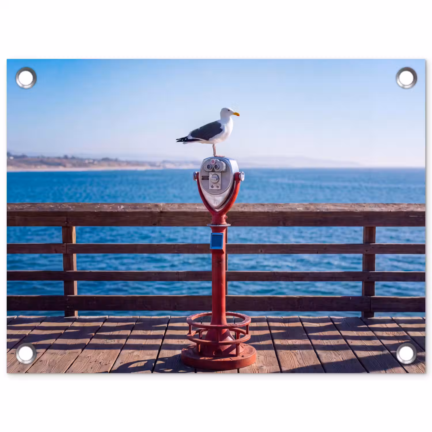 Vogel - Verrekijker - Kust - Zee - Blauw tuinposter los doek klein -3d