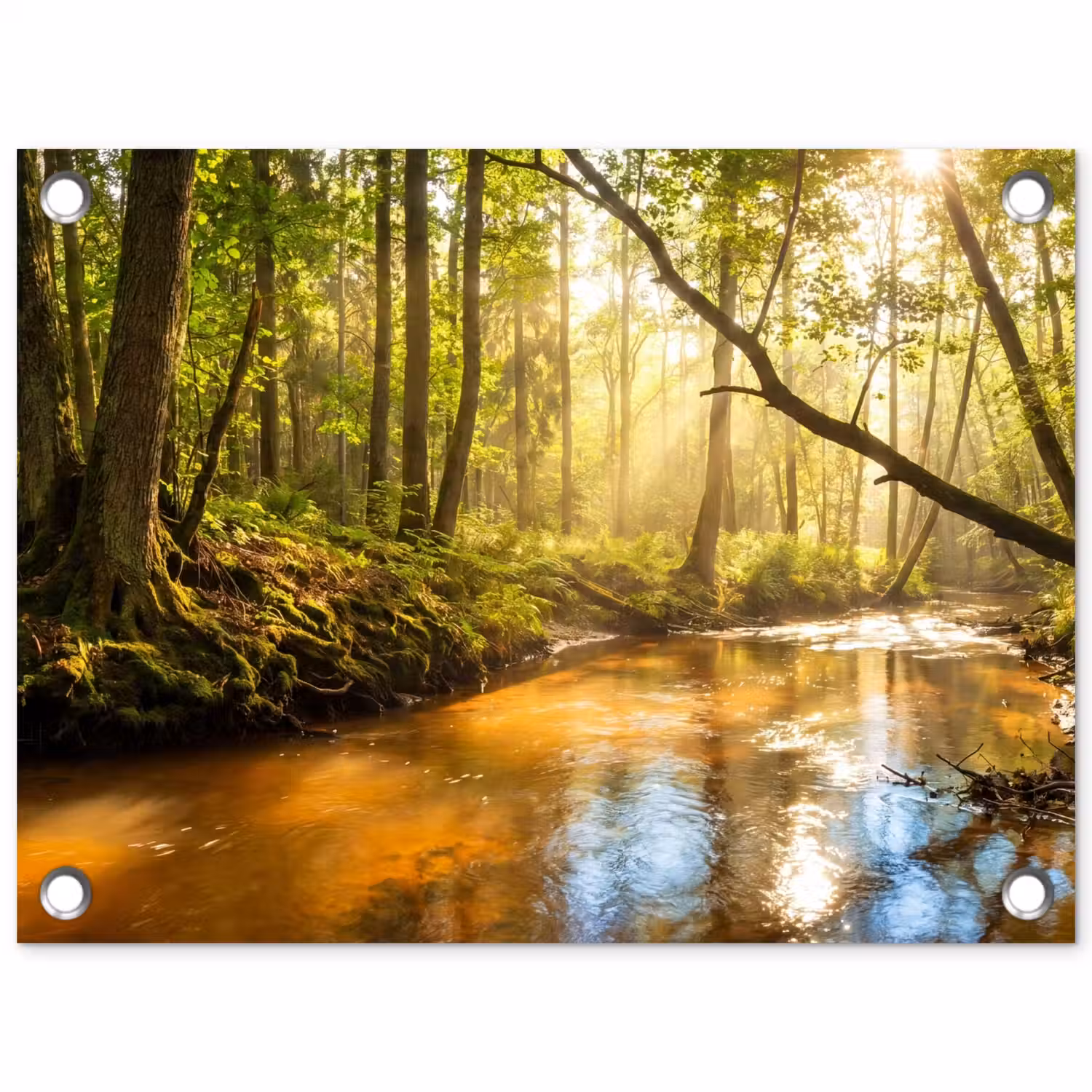 Bos - Beek - Zonlicht - Natuur - Groen tuinposter los doek klein -3d