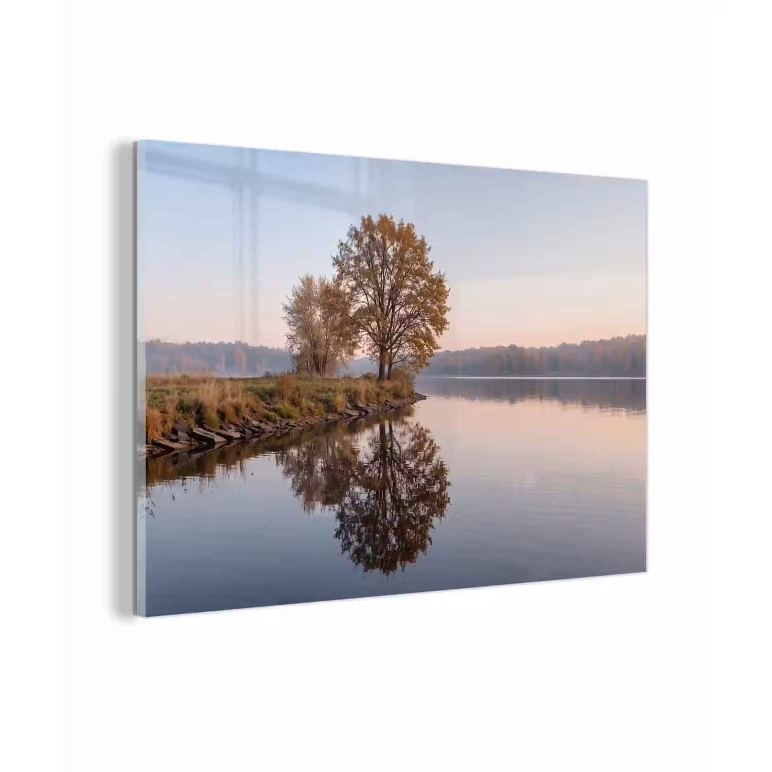 Bomen - Reflectie - Water - Zonsopgang - Serene plexiglas 5mm klein -zzzproduct_nieuw
