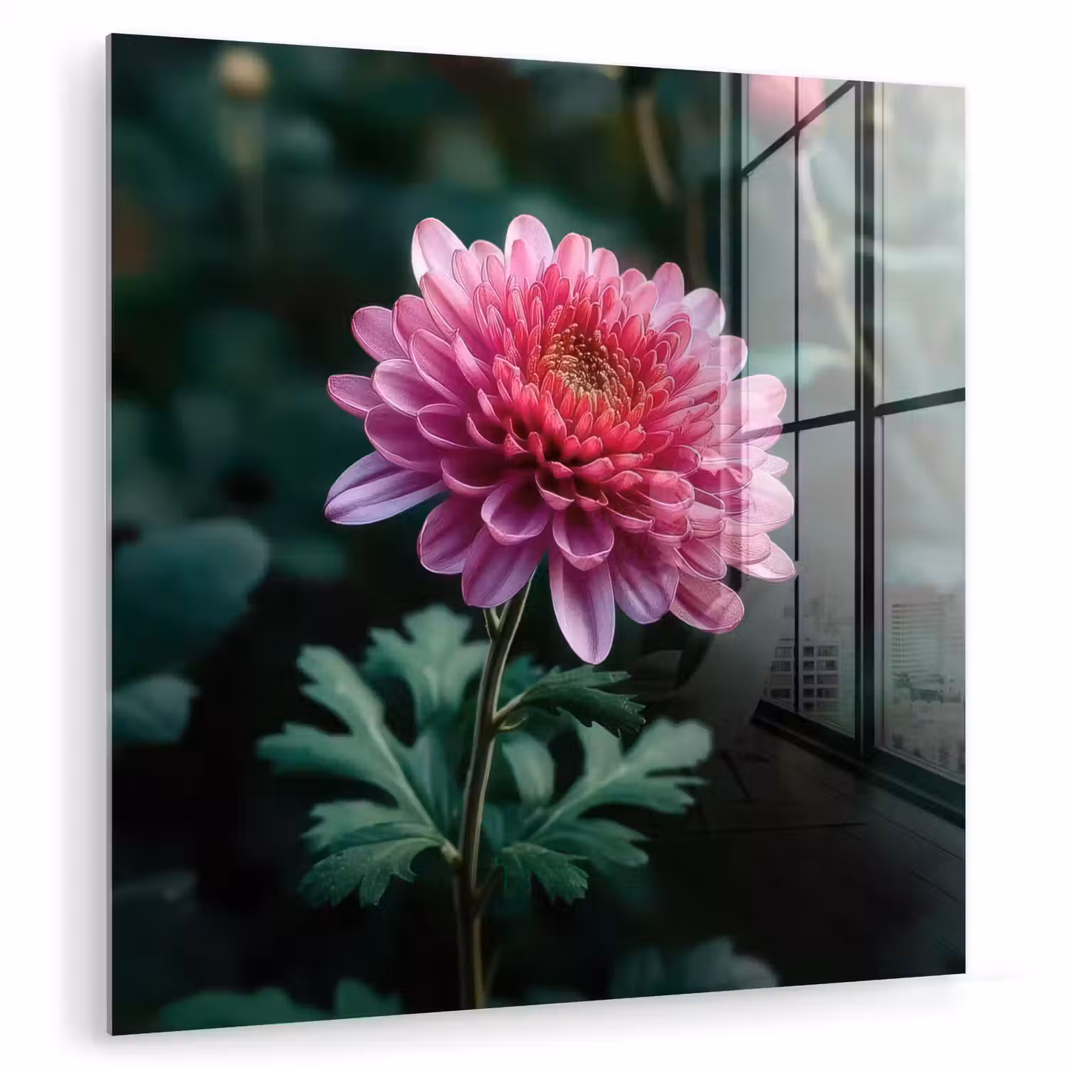 Blad - Chrysant - Roze - Schaduw plexiglas 5mm klein -zzzproduct_nieuw