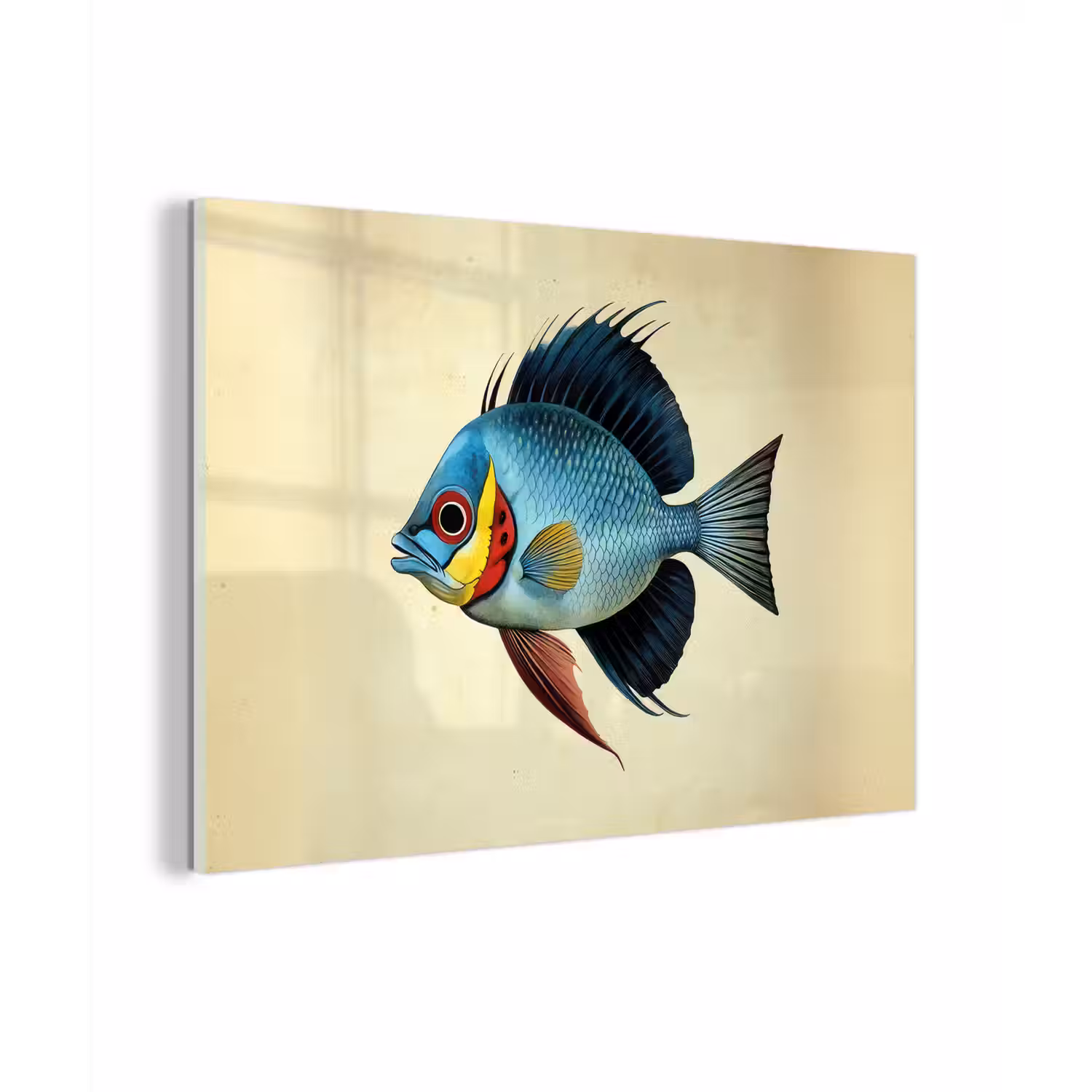 Blauw - Kieuwen - Vis - Illustratie plexiglas 5mm klein -zzzproduct_nieuw