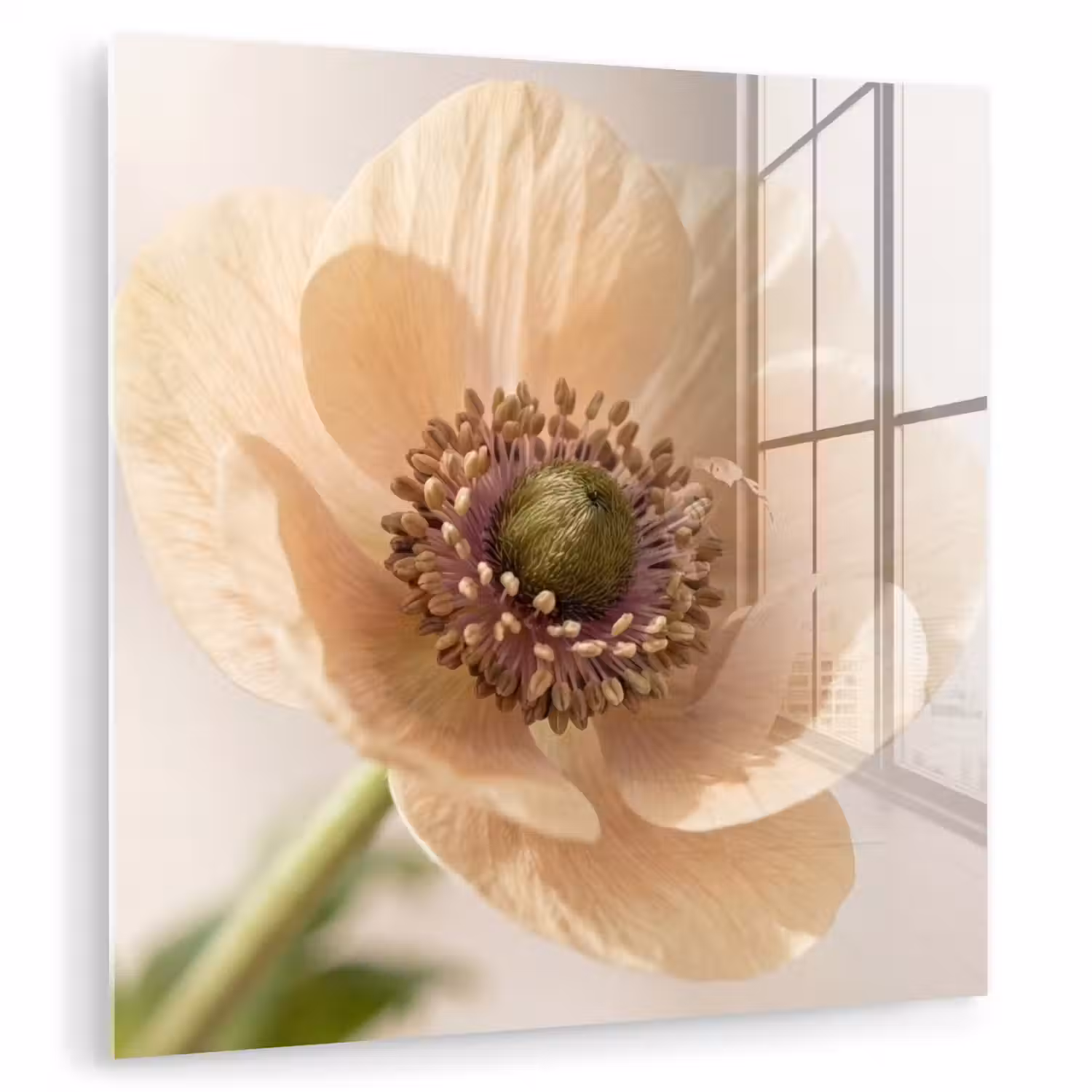 Bloem - Minimalistisch - Groen plexiglas 5mm klein -zzzproduct_nieuw
