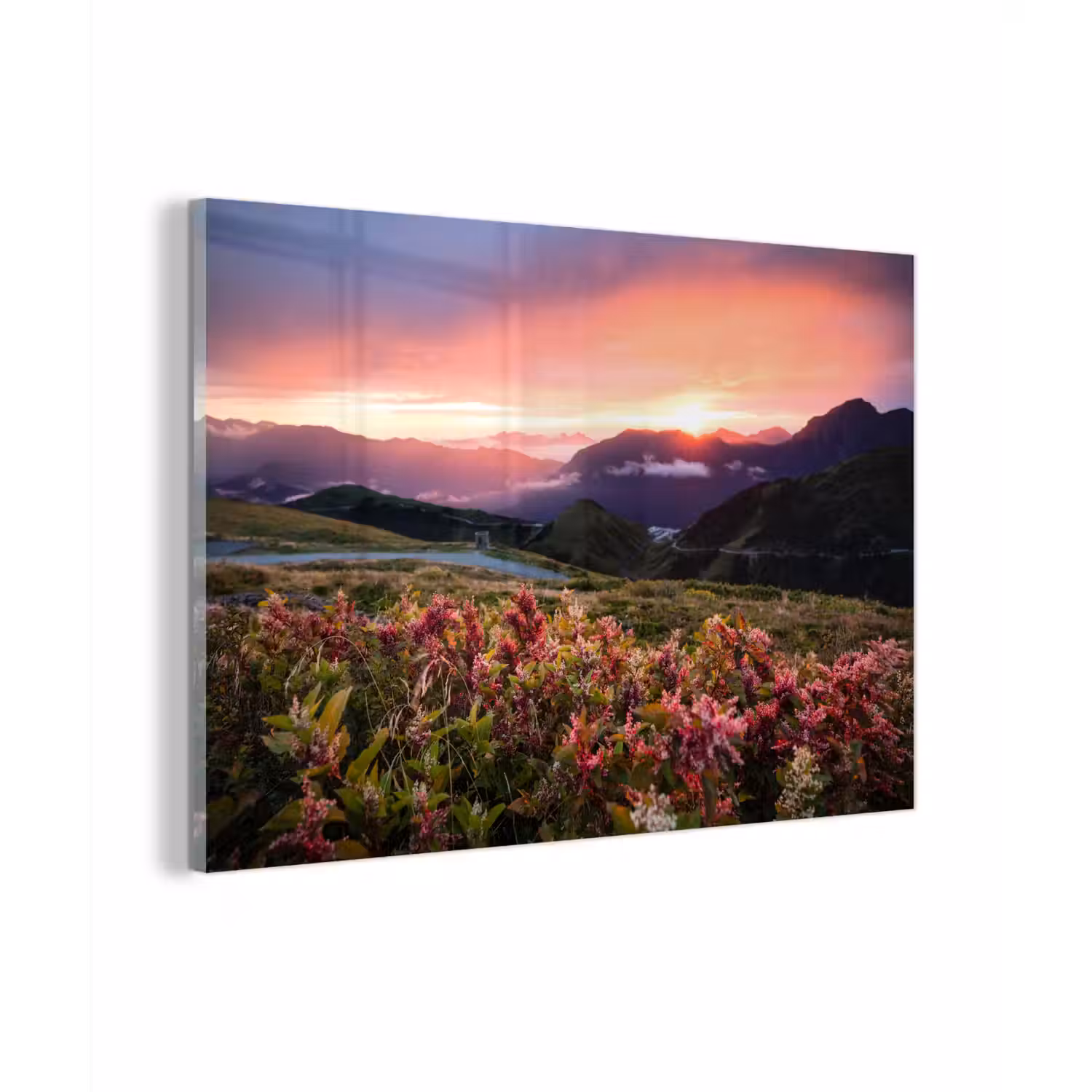 Bloemen - Bergen - Landschap - Nacht - Lucht - Roze plexiglas 5mm klein -zzzproduct_nieuw