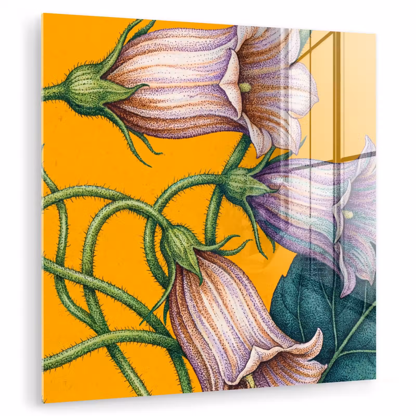 Glasbild - Blumen – Botanik – Gelb - Bloemen - Botanisch - Geel plexiglas 5mm klein