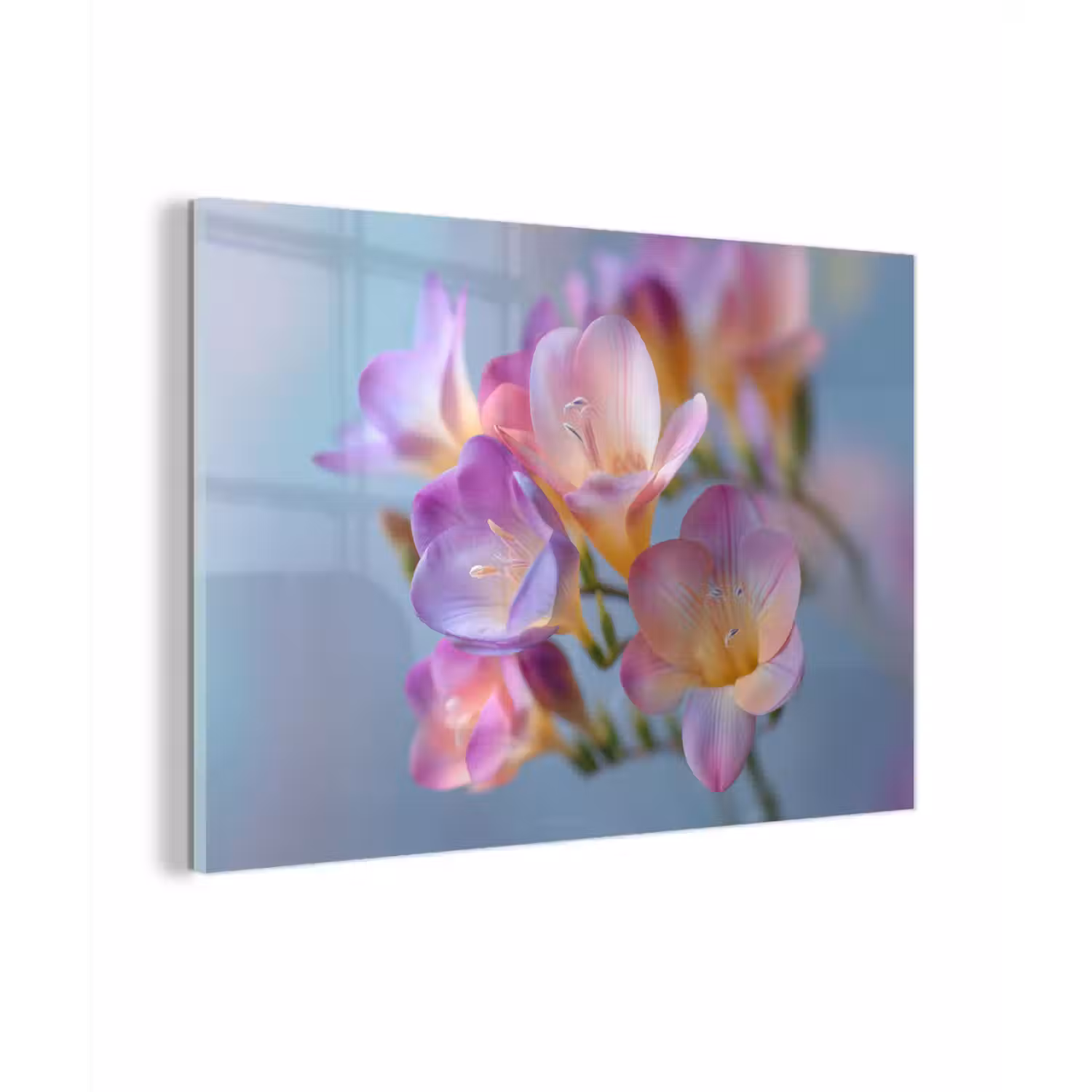 Bloemen - Paars - Overloop - Meeldraden plexiglas 5mm klein -zzzproduct_nieuw