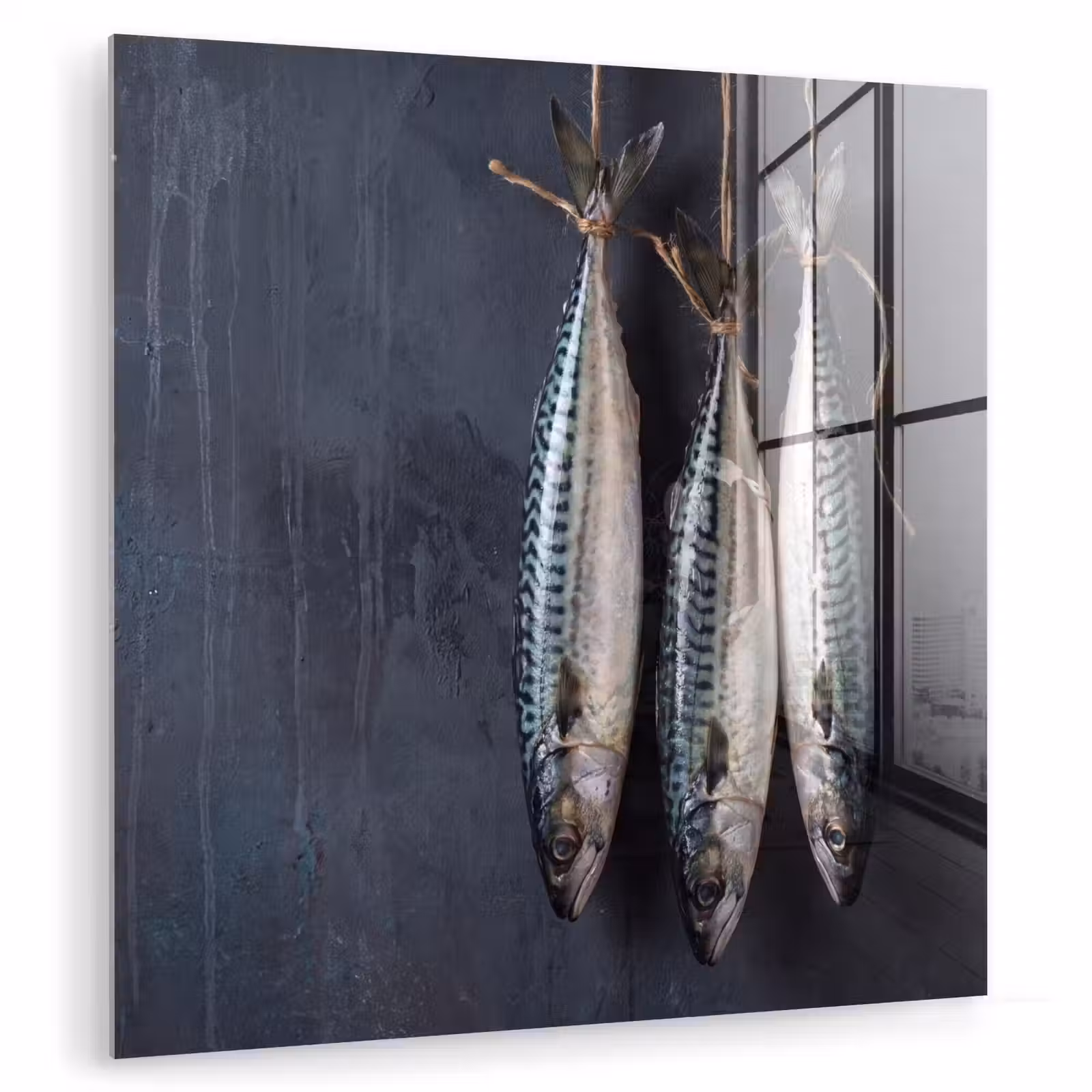 Glasbild - Drei Fische – Seil - Drie vissen - Touw plexiglas 5mm klein