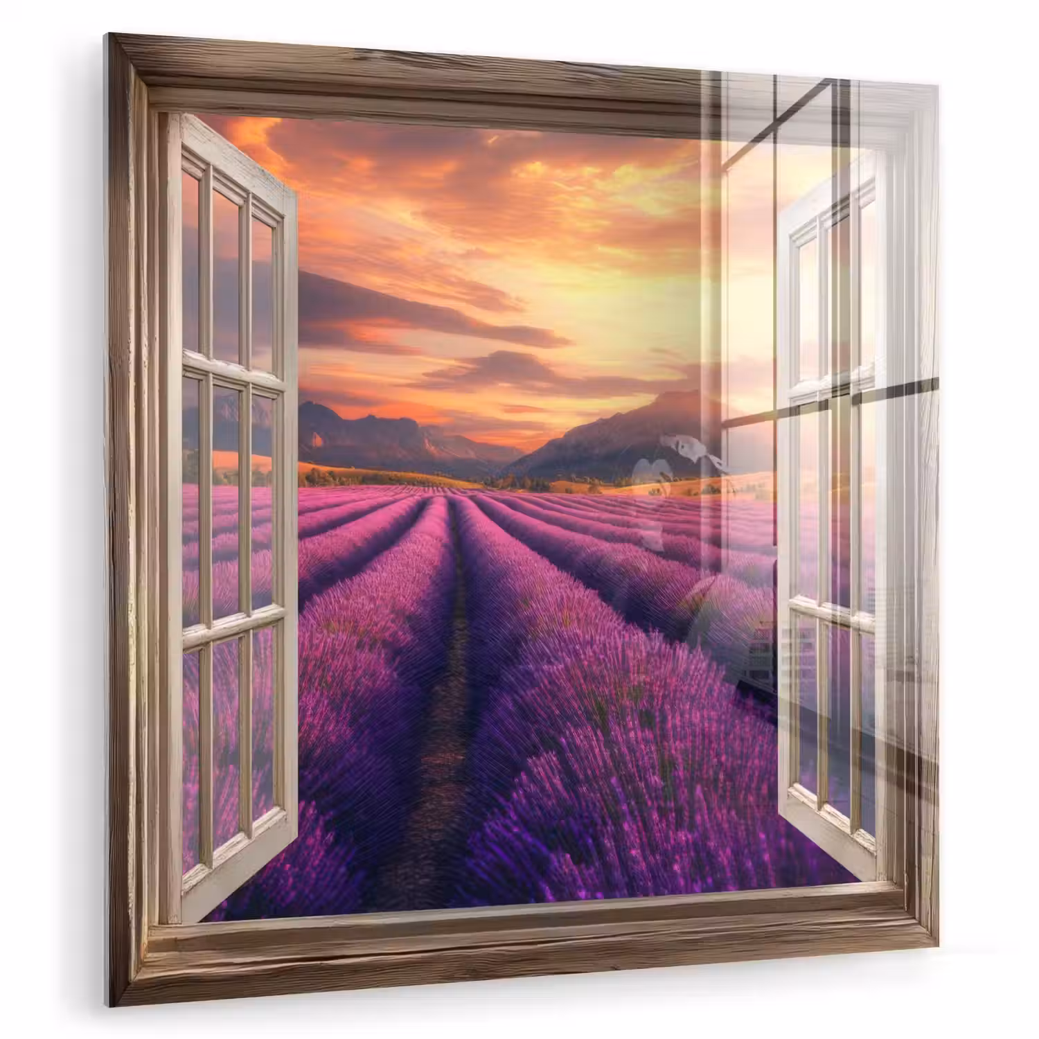 Doorkijk - Lavendel - Landschap - Bloemen - Paars plexiglas 5mm klein -zzzproduct_nieuw