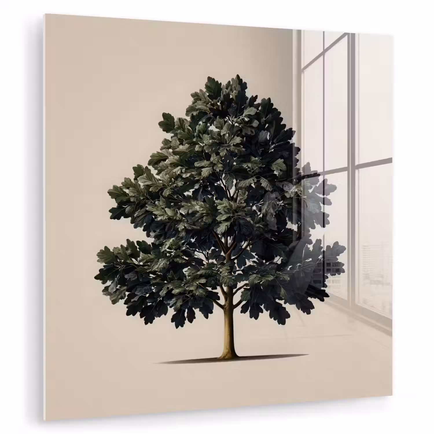 Eikenboom - Schaduw - Egaal plexiglas 5mm klein -zzzproduct_nieuw