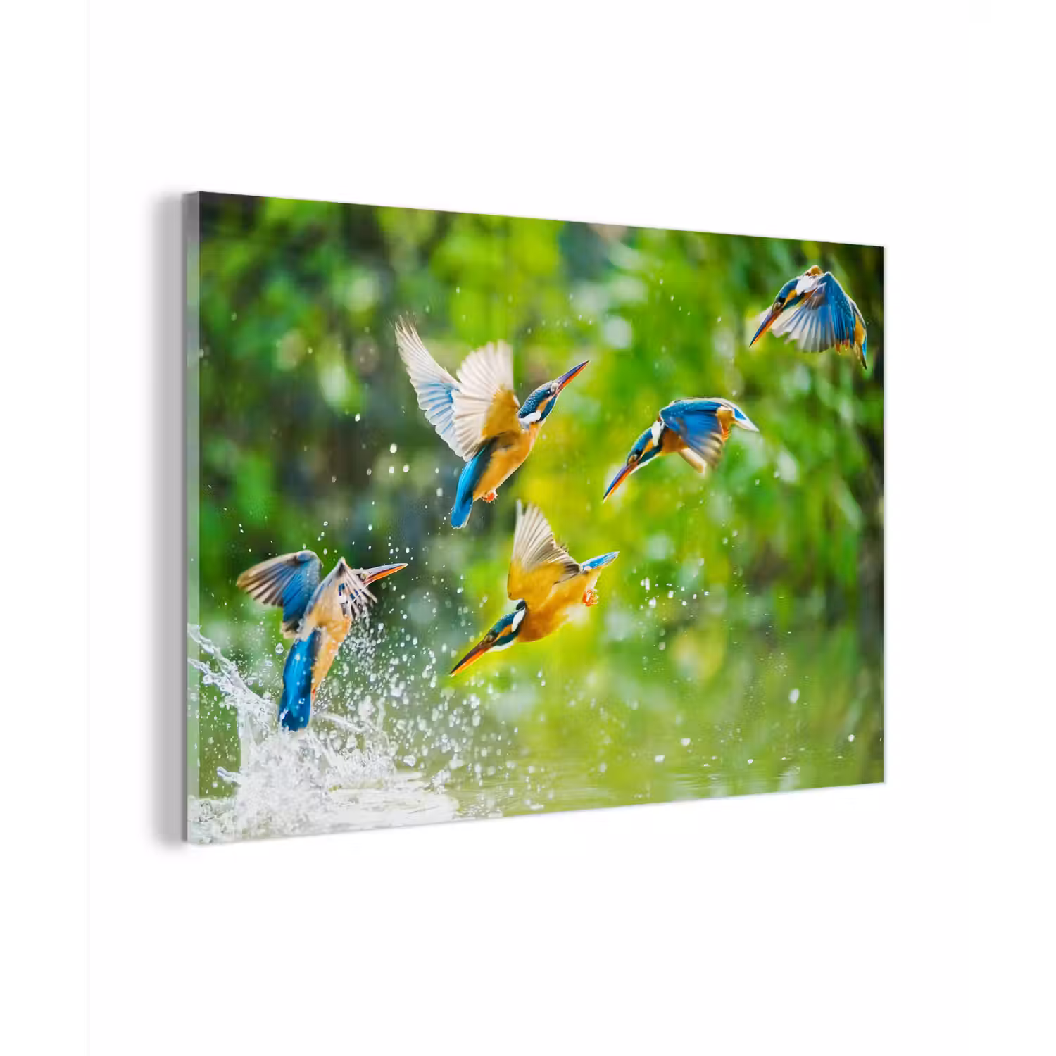 IJsvogels vliegen in het water plexiglas 5mm klein -z3d
