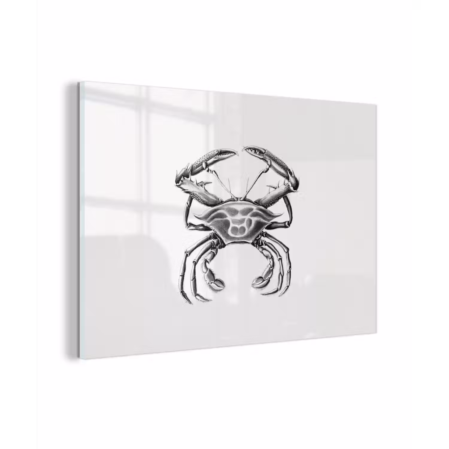 Ernst Haeckel - Vintage - Kunst - Krab plexiglas 5mm klein -sfeer1