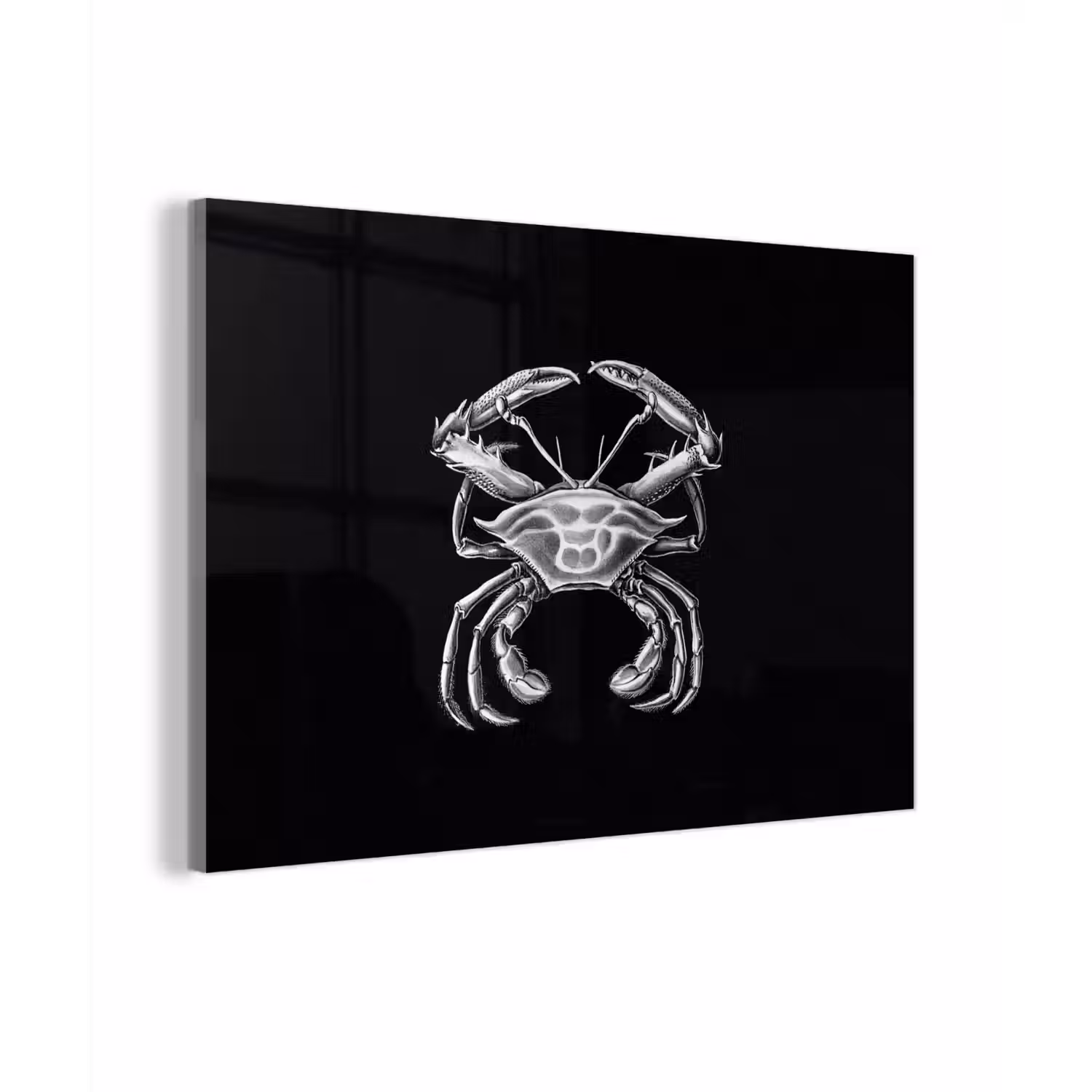 Ernst Haeckel - Krab - Oude meesters - Vintage - Dieren - Kunst plexiglas 5mm klein -sfeer1