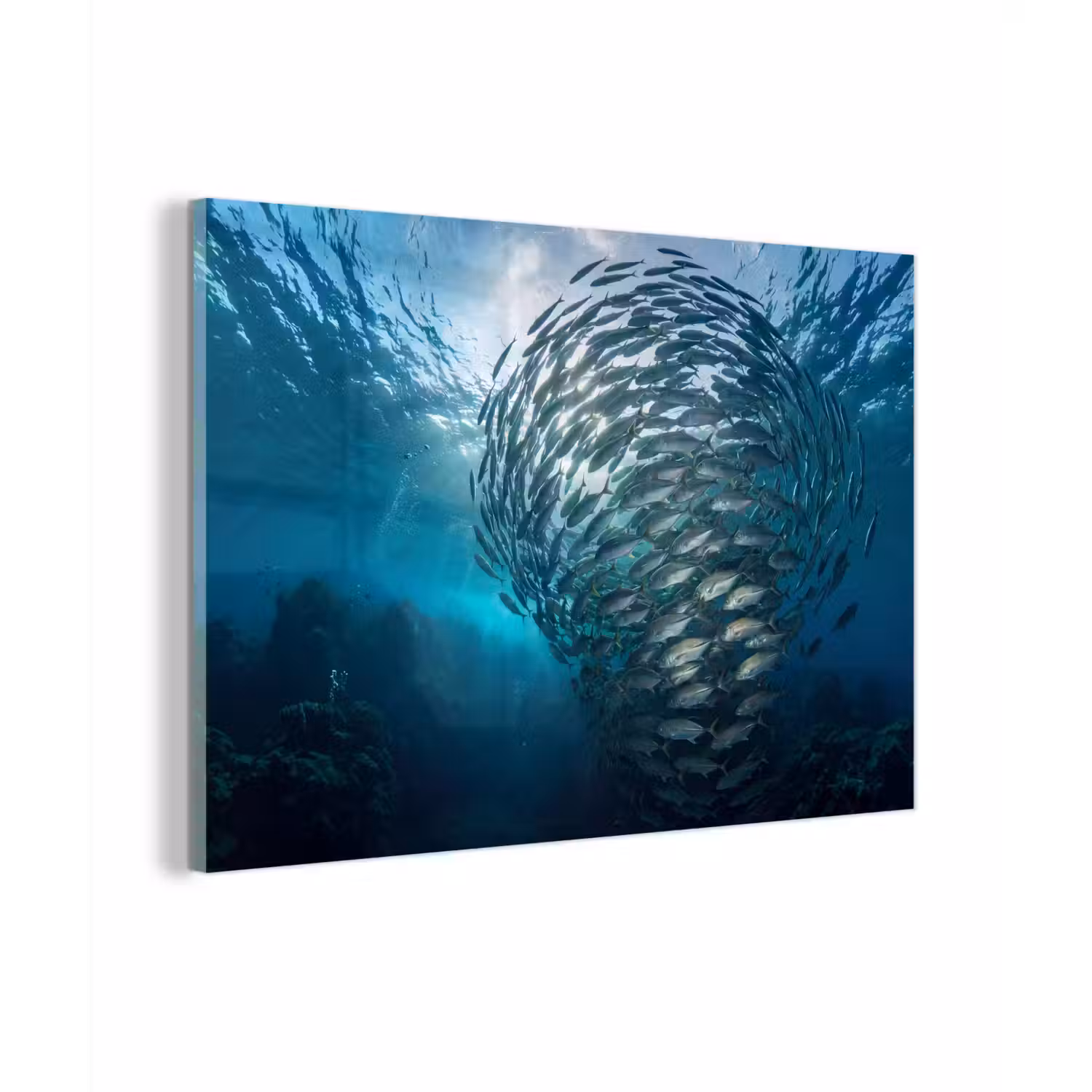 Vis - School - Oceaan - Natuur - Blauw plexiglas 5mm klein -zzzproduct_nieuw