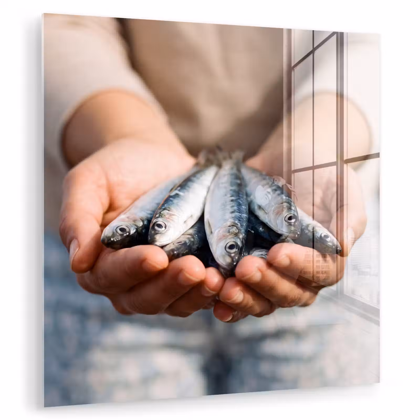 Glasbild - Fisch – Hände – Natur - Vis - Handen - Natuur plexiglas 5mm klein