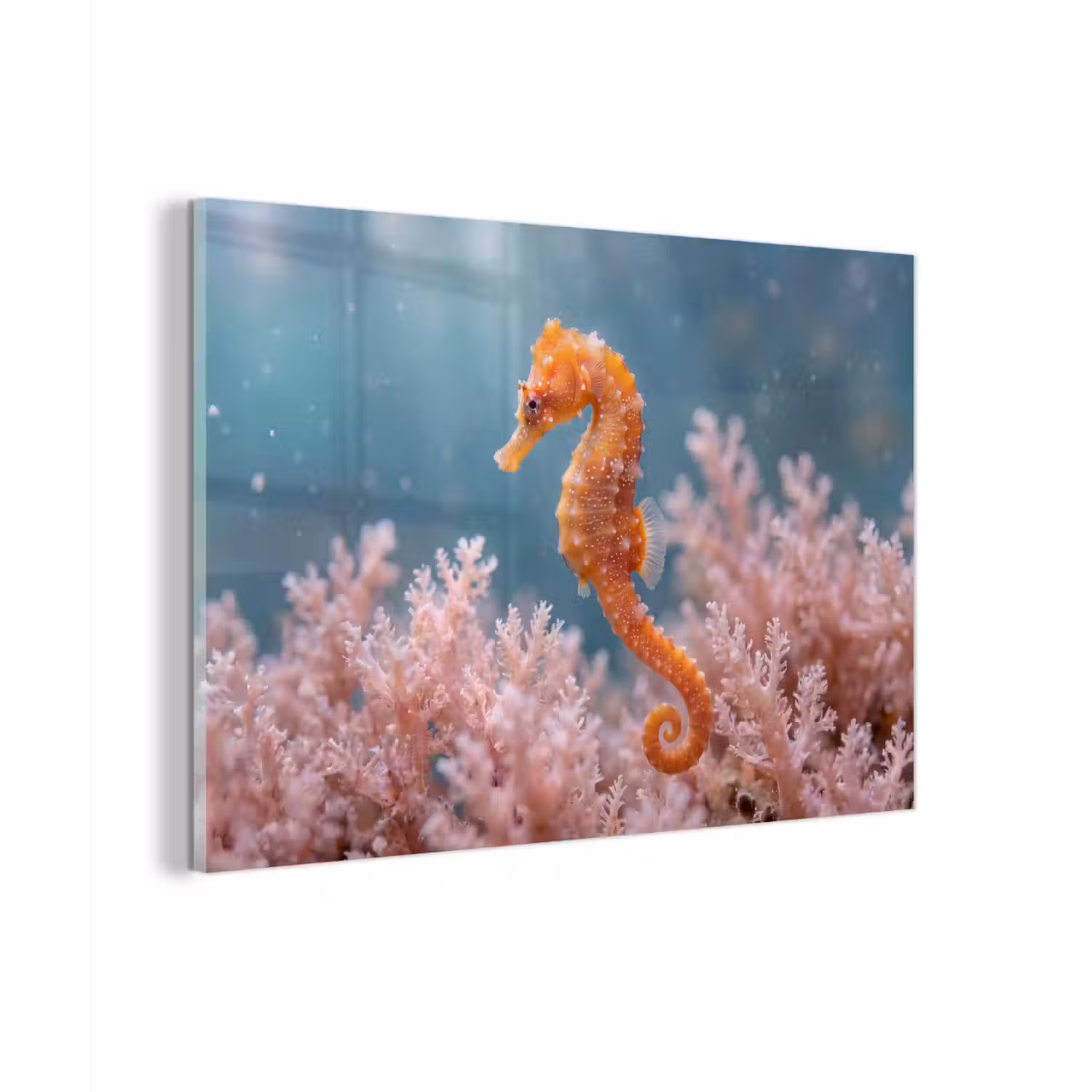 Vis - Koraal - Oceaan - Macro - Oranje plexiglas 5mm klein -zzzproduct_nieuw