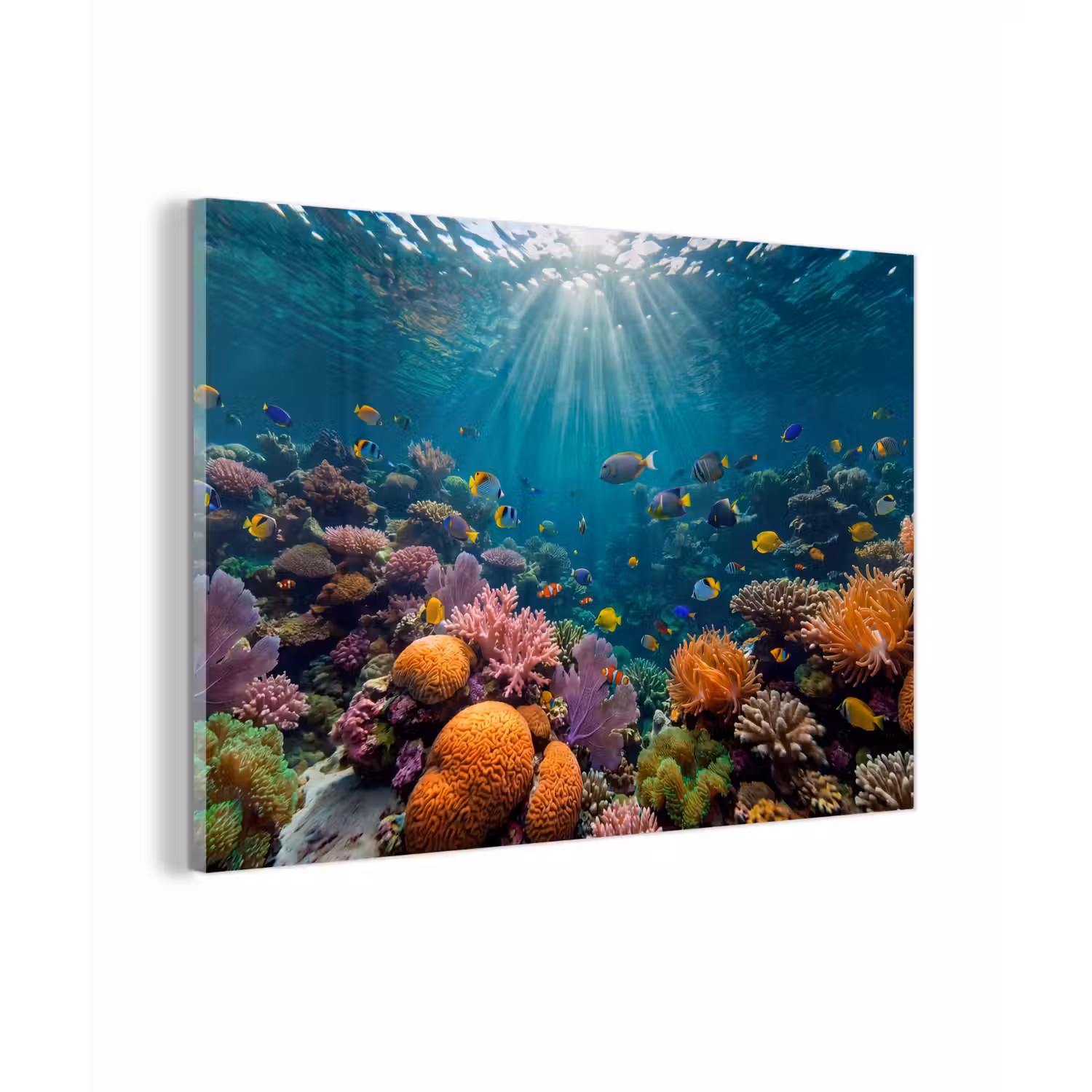 Vis - Koraal - Oceaan - Natuur - Kleurrijk plexiglas 5mm klein -zzzproduct_nieuw