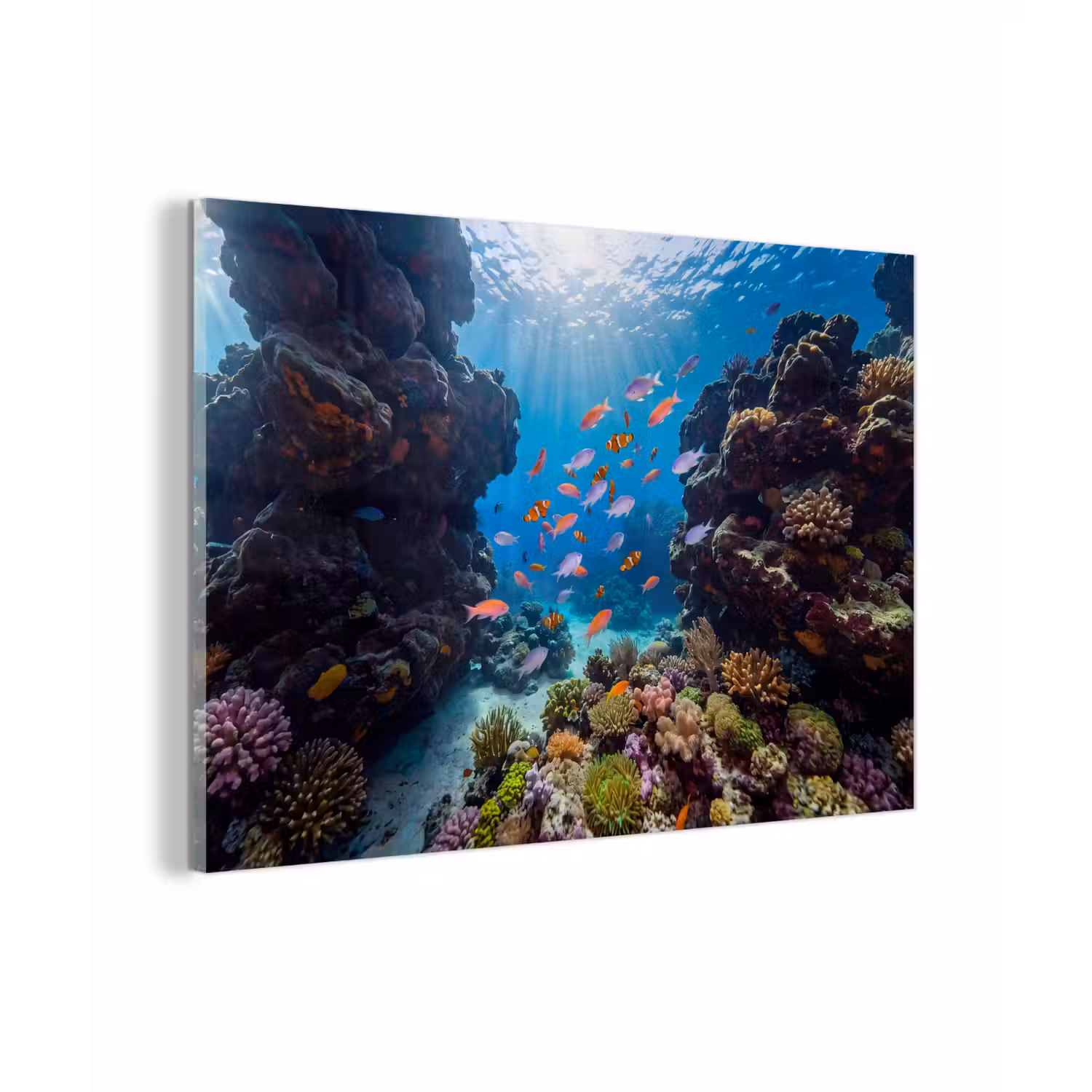 Vis - Koraalrif - Onderwater - Levendig - Blauw plexiglas 5mm klein -zzzproduct_nieuw