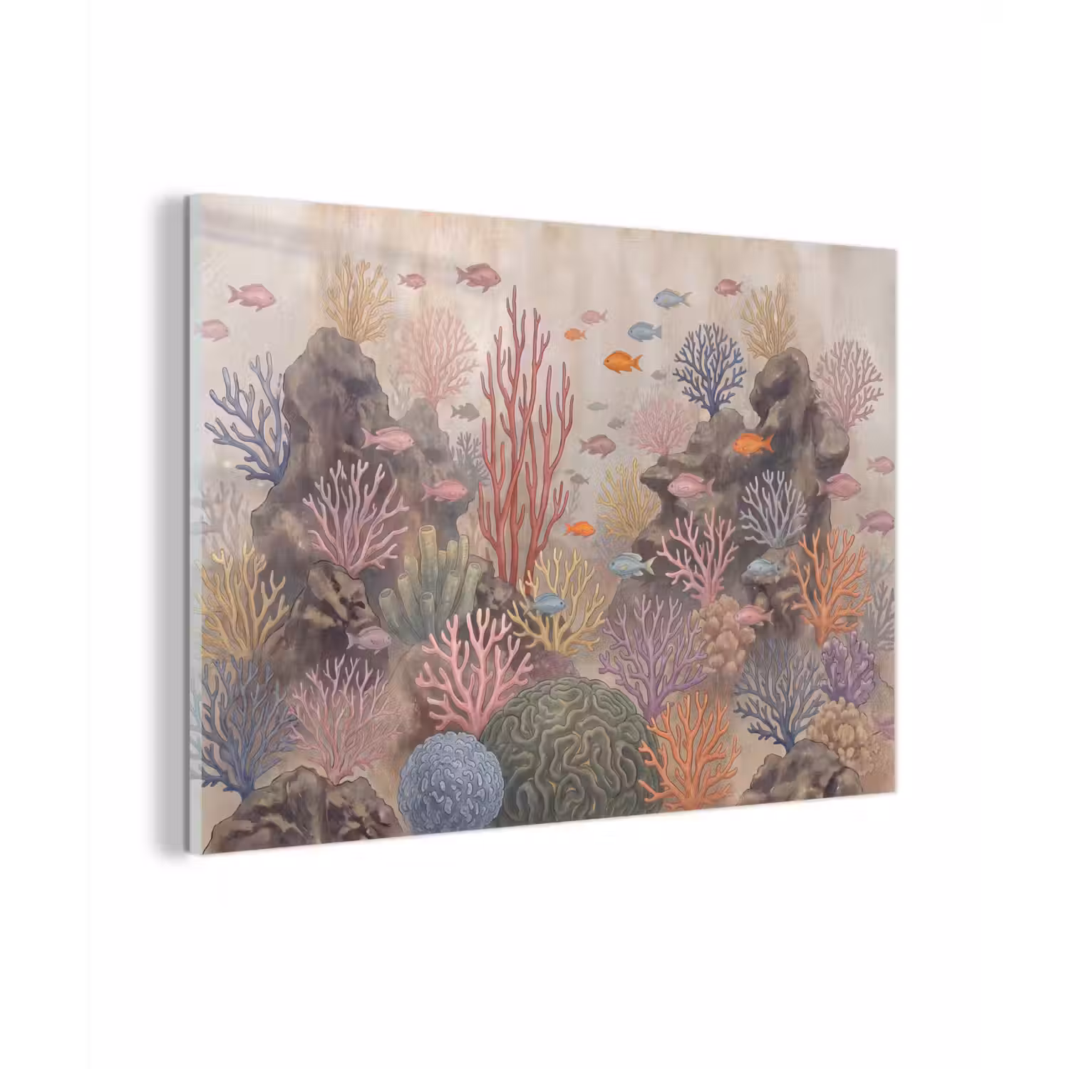 Vis - Koraalrif - Onderwaterwereld - Illustratie plexiglas 5mm klein -zzzproduct_nieuw