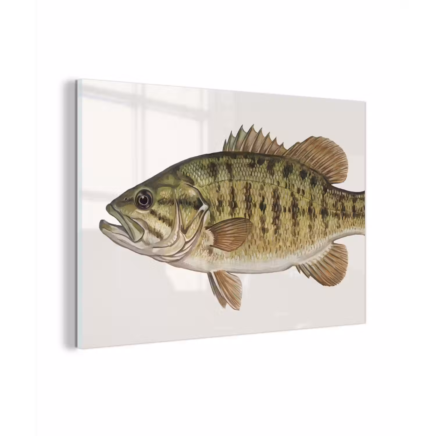 Vissen - Natuur - Vintage plexiglas 5mm klein -zzzproduct_nieuw