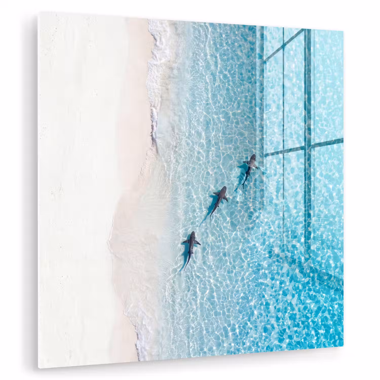Vis - Oceaan - Strand - Turquoise - Natuur plexiglas 5mm klein -zzzproduct_nieuw