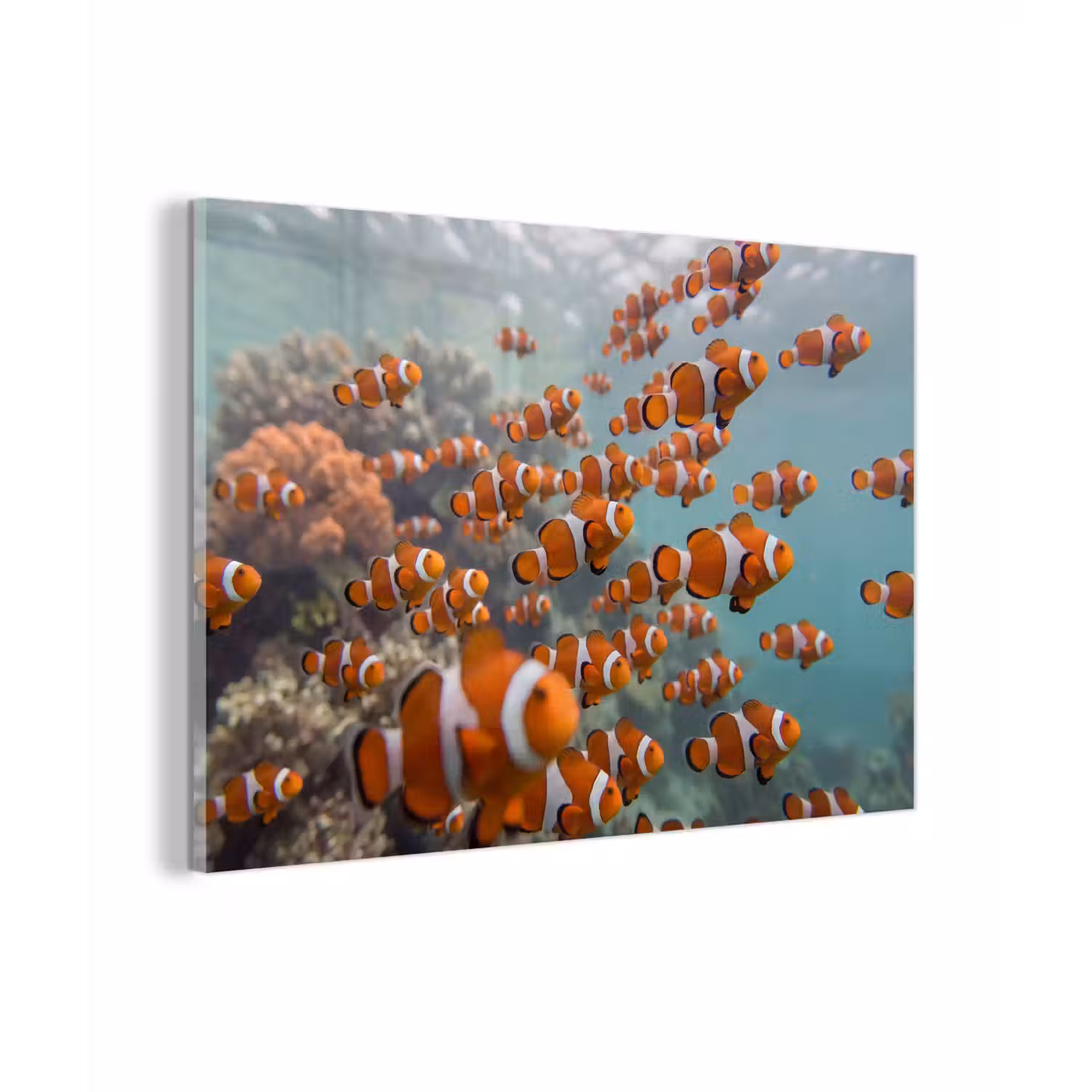 Vis - School - Onderwater - Dieren - Oranje plexiglas 5mm klein -zzzproduct_nieuw