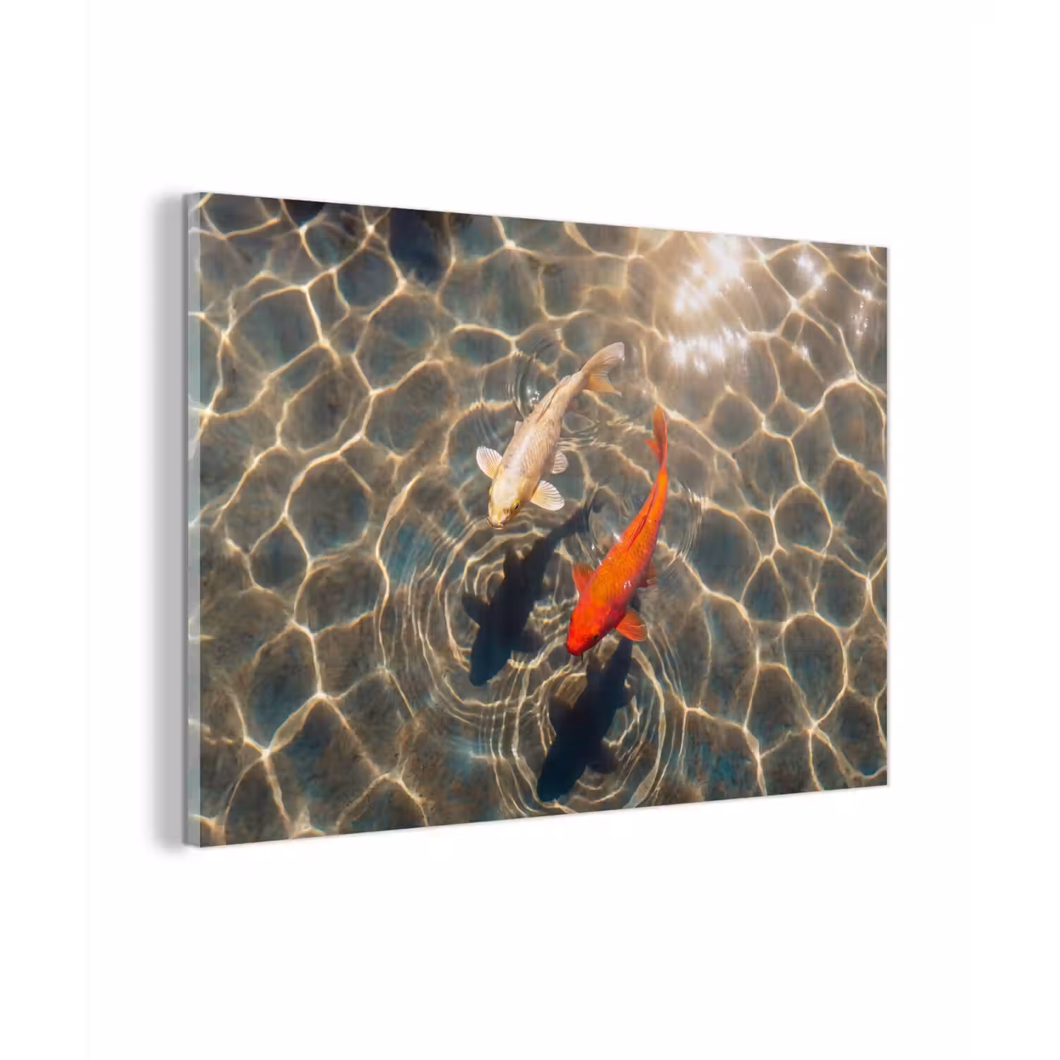 Vis - Water - Dieren - Oranje - Goud plexiglas 5mm klein -zzzproduct_nieuw