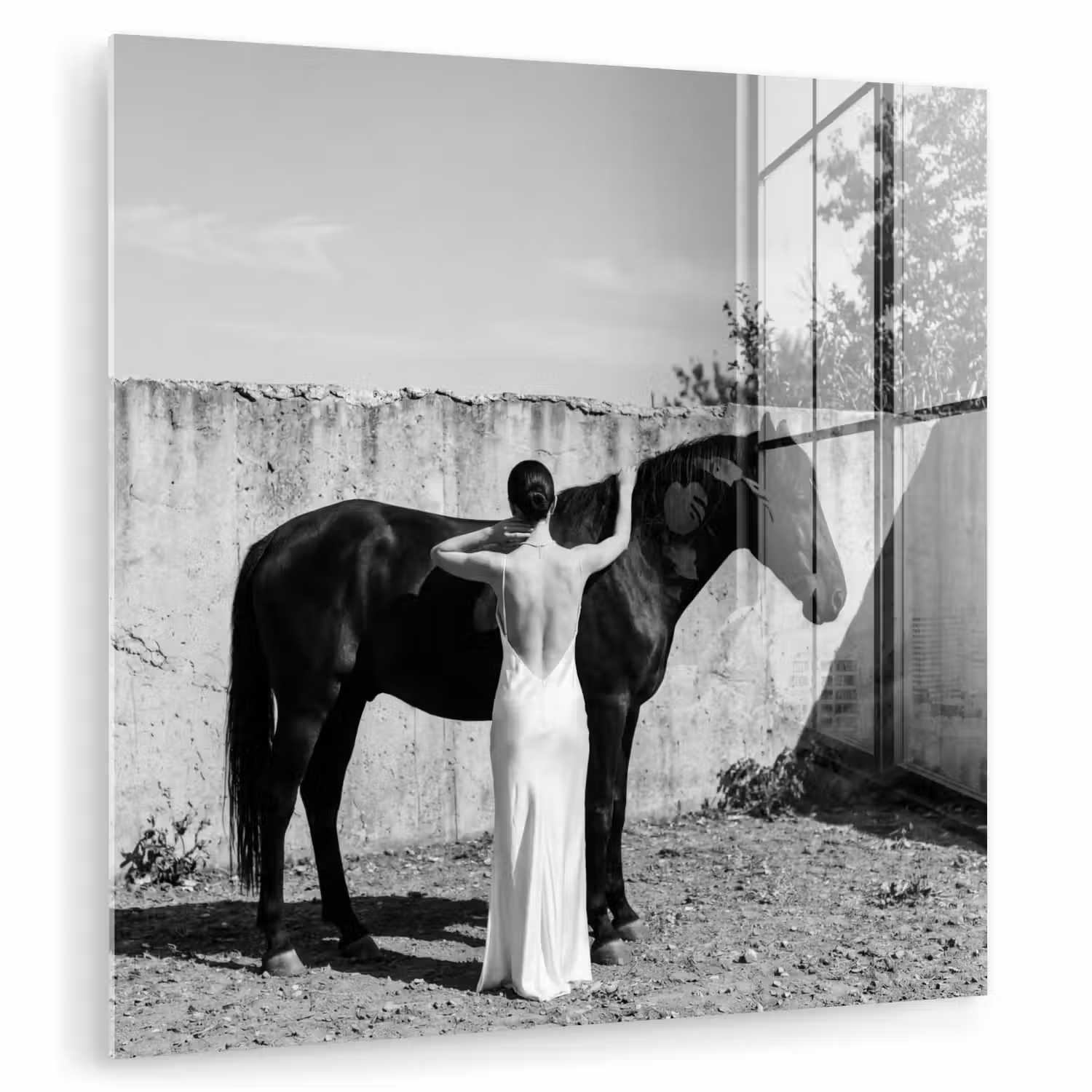 Vrouw - Paard - Artistiek plexiglas 5mm klein -zzzproduct_nieuw