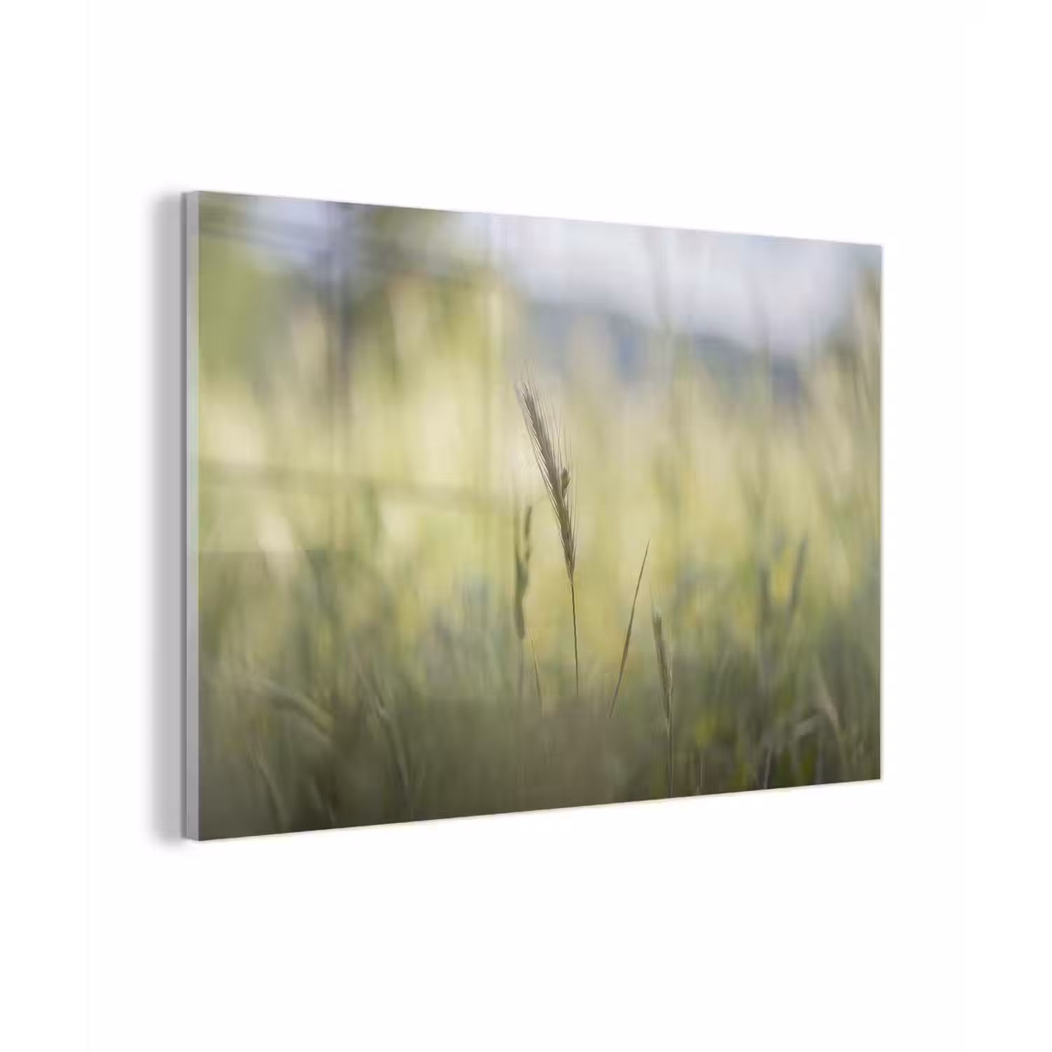 Graan - Aar - Natuur - Groen - Detail plexiglas 5mm klein -zzzproduct_nieuw